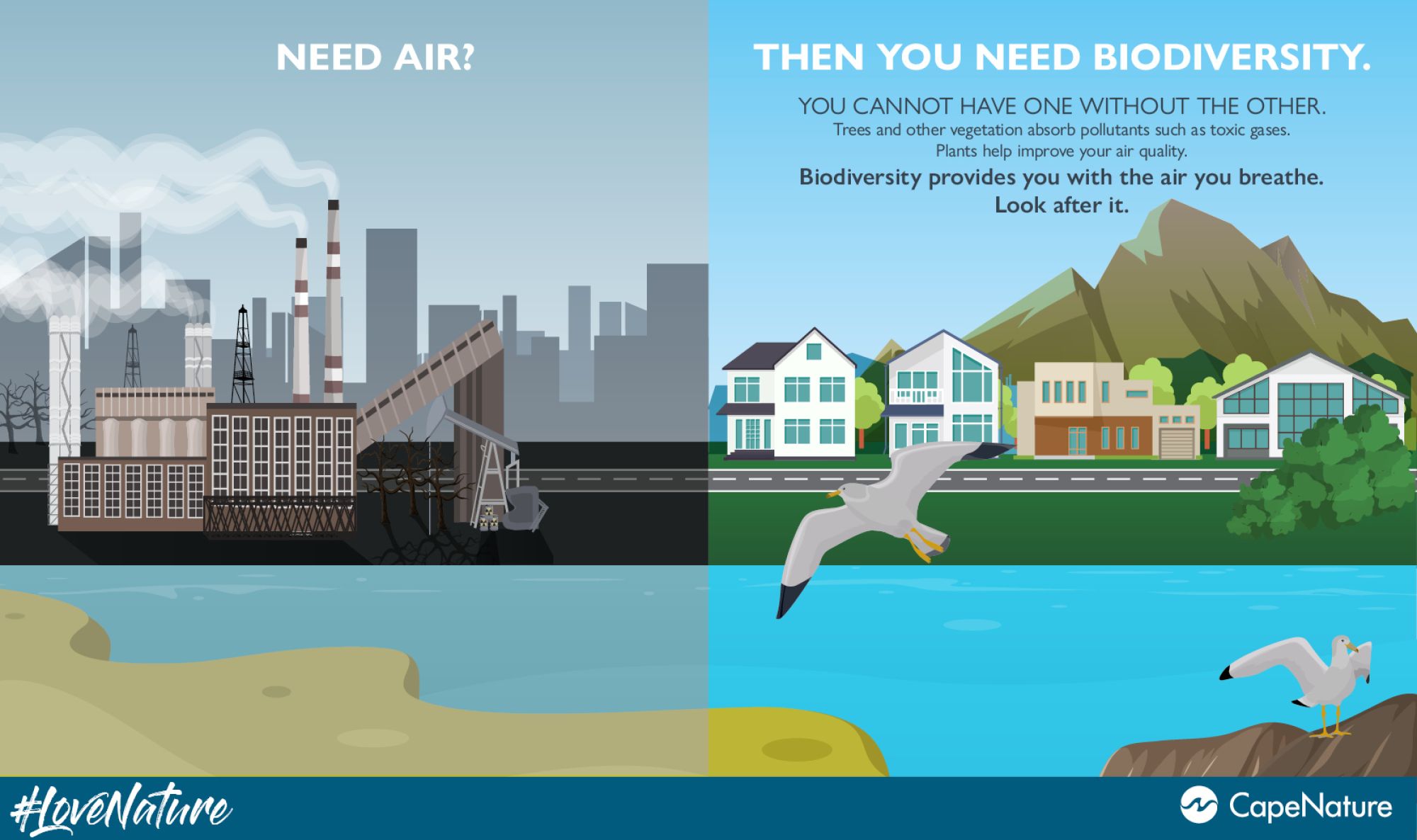 Image related to website content Image related to website content