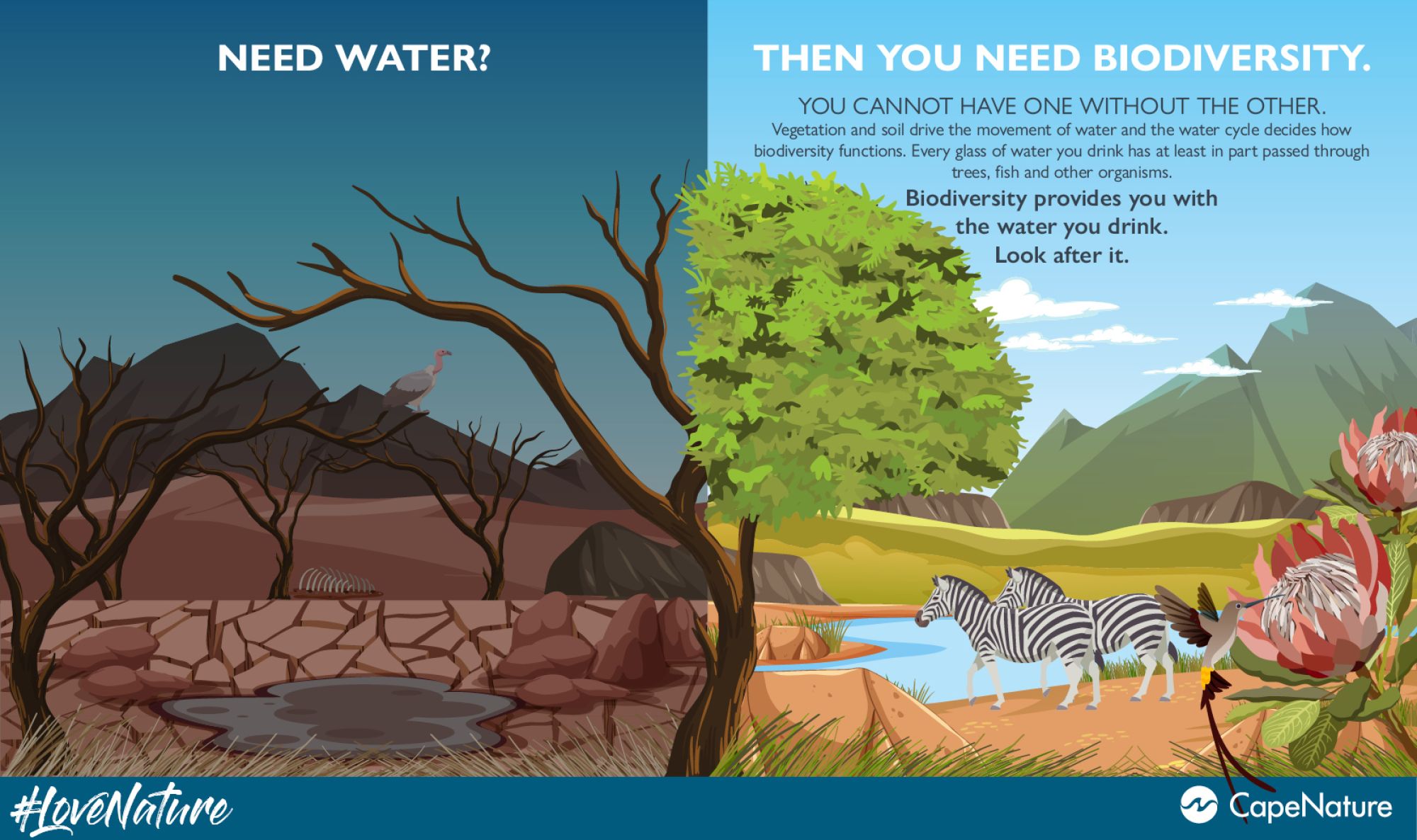 Image related to website content Image related to website content