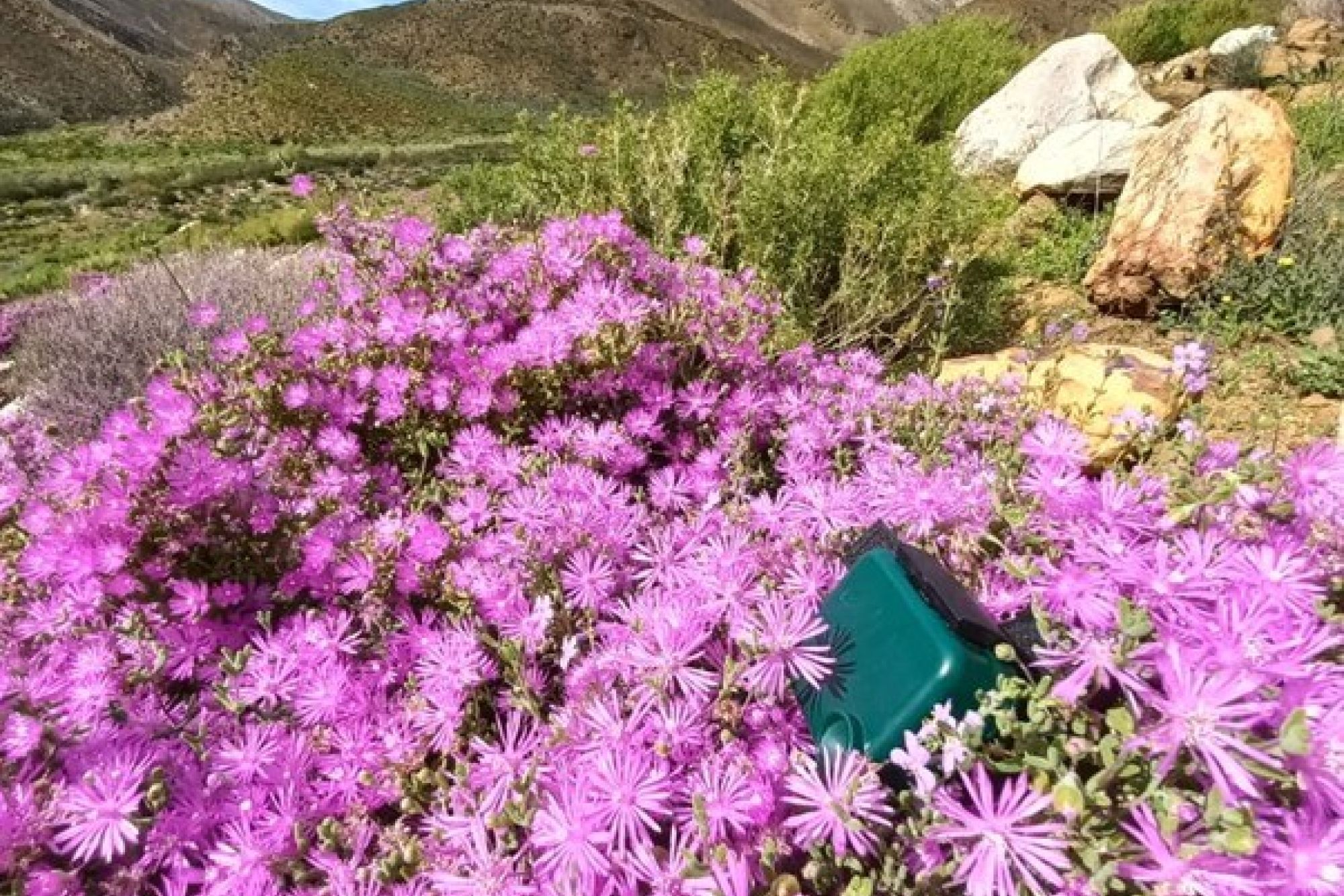 Image related to website content Image related to website content