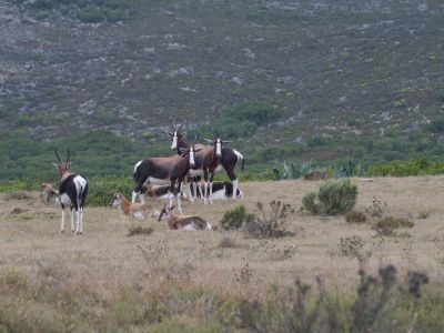 Image related to website content Image related to website content