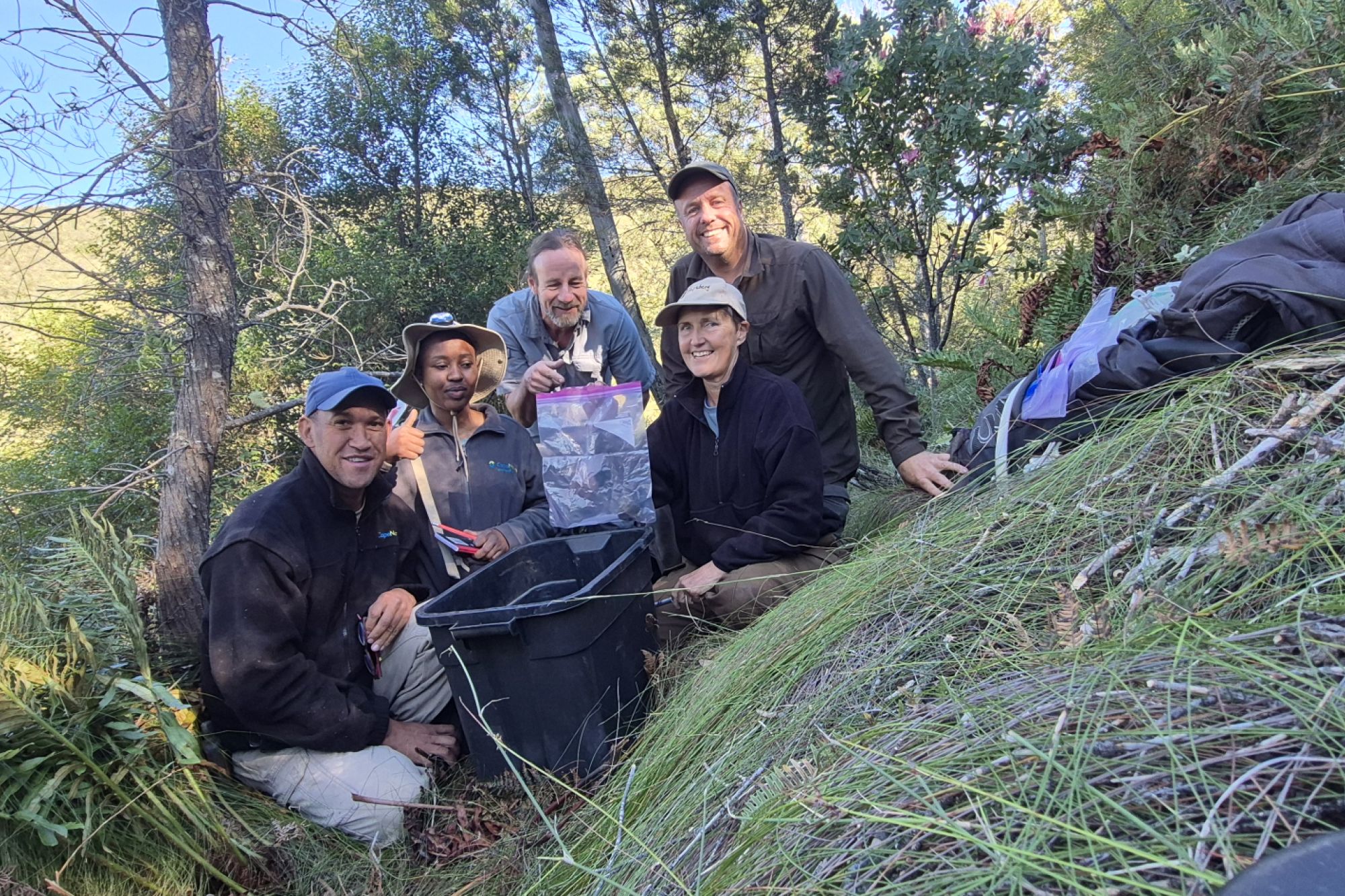 Image related to website content Image related to website content