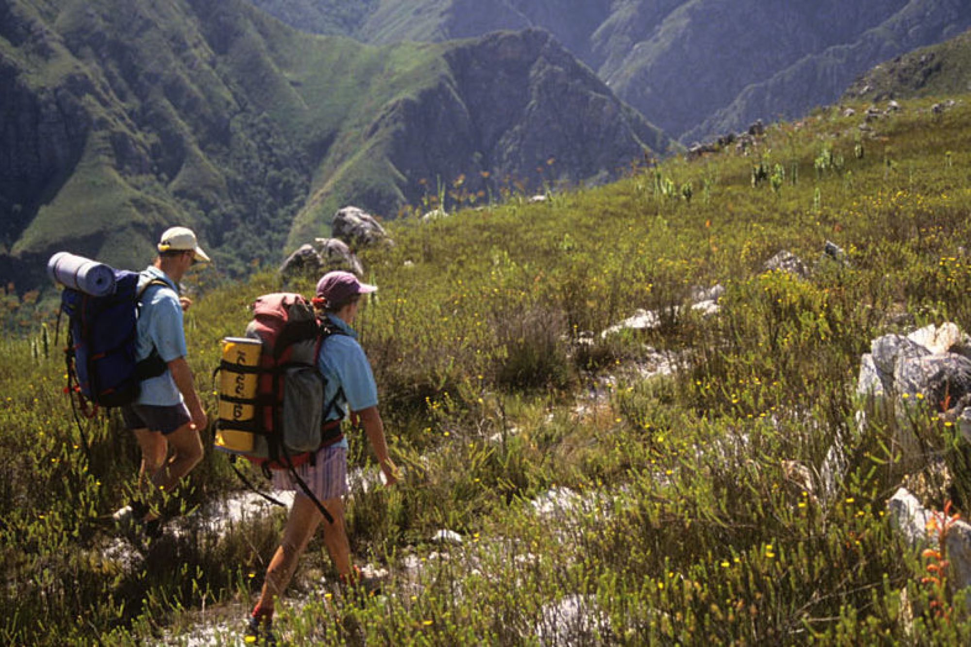 Image related to website content Image related to website content