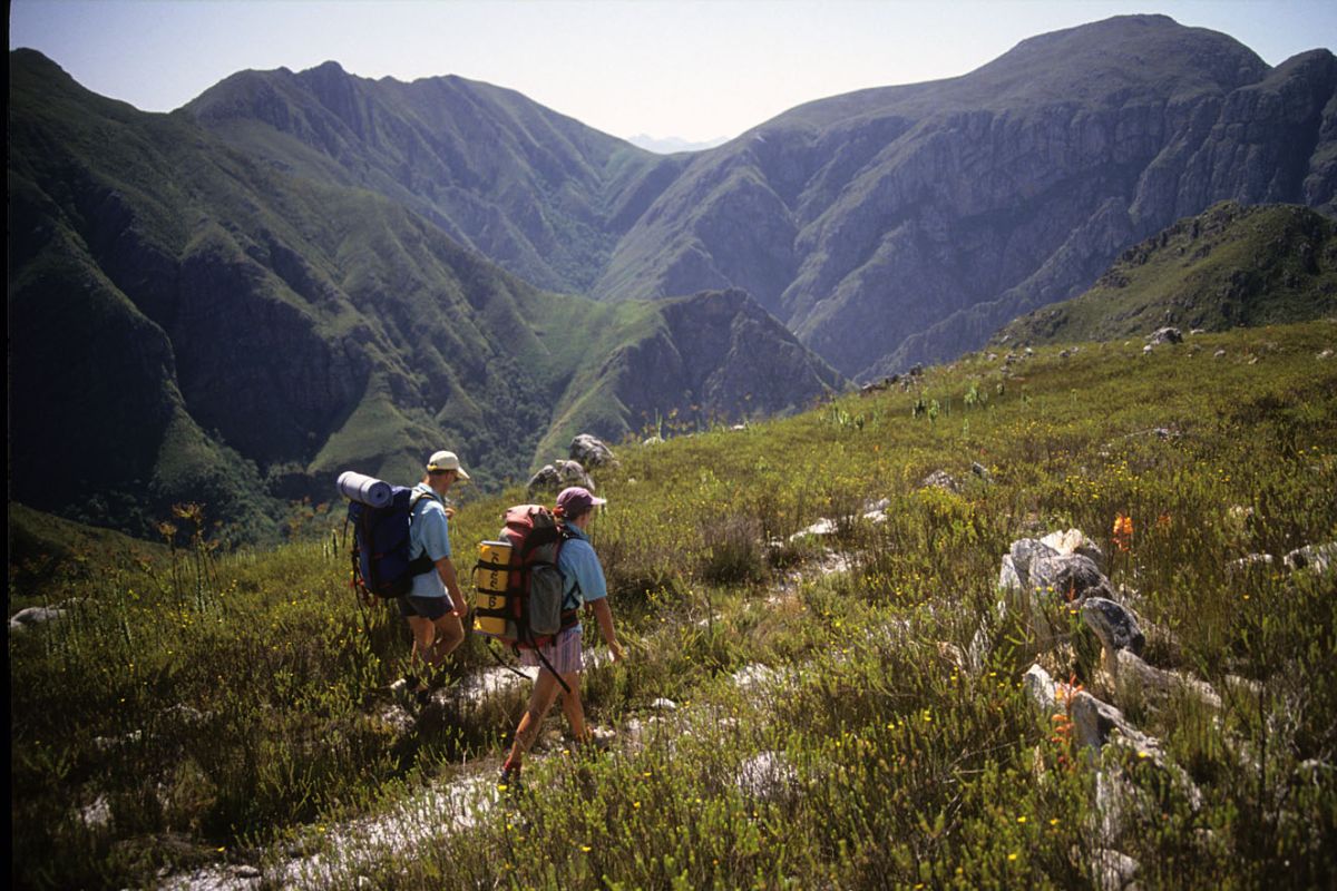 Boosmansbos Wilderness 2 Boosmansbos Wilderness 2