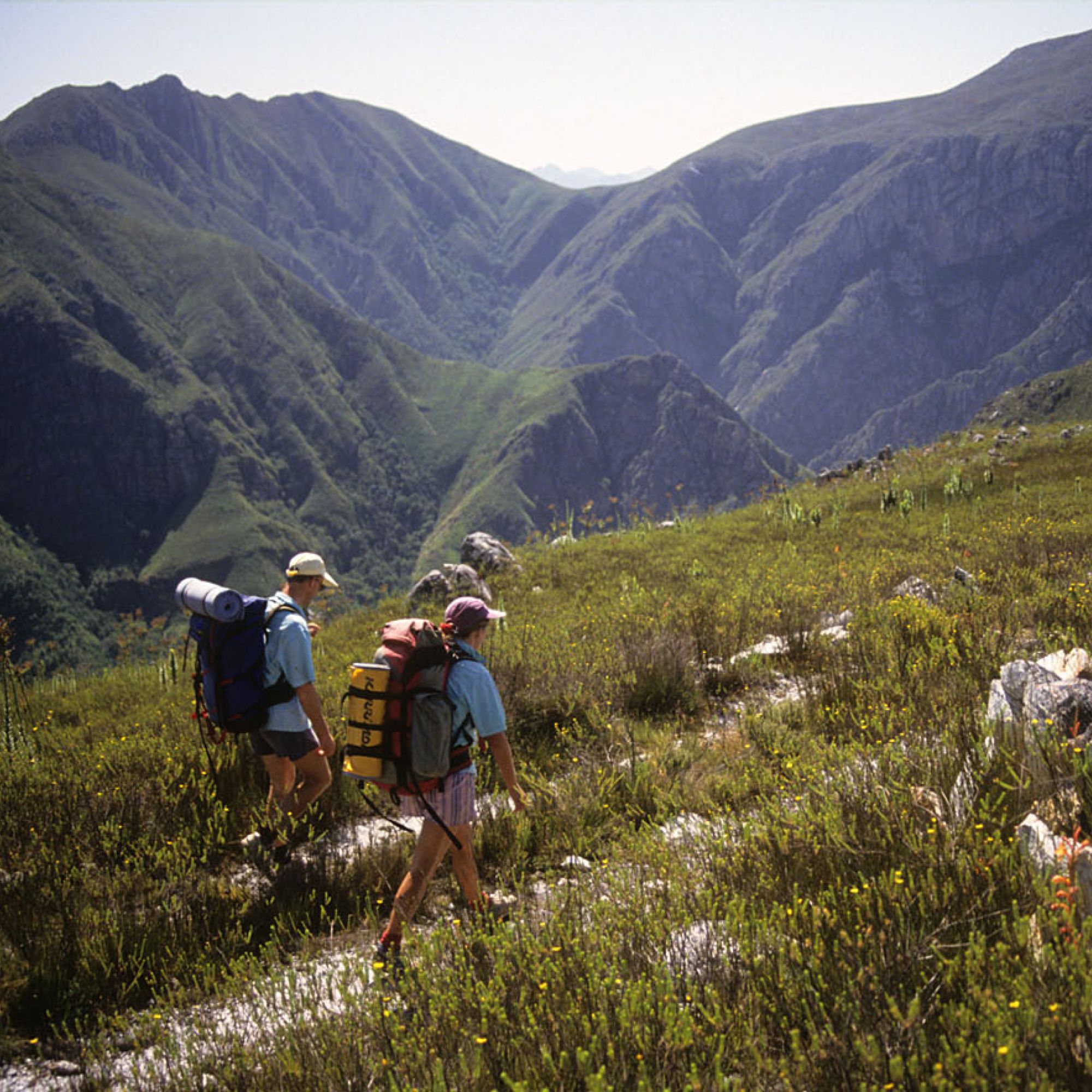 Boosmansbos Wilderness 2 Boosmansbos Wilderness 2