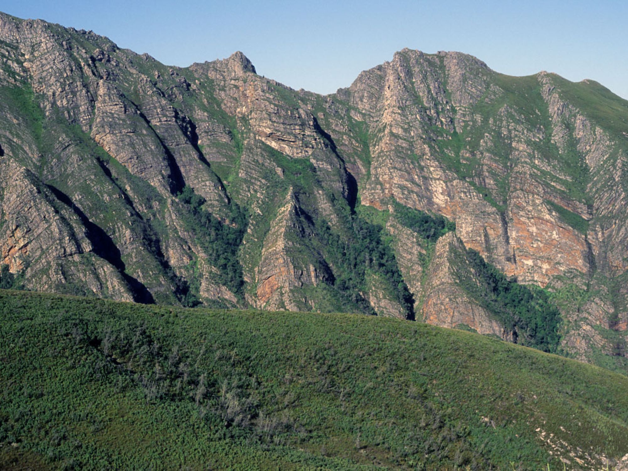 Boosmansbos Wilderness 4 Boosmansbos Wilderness 4