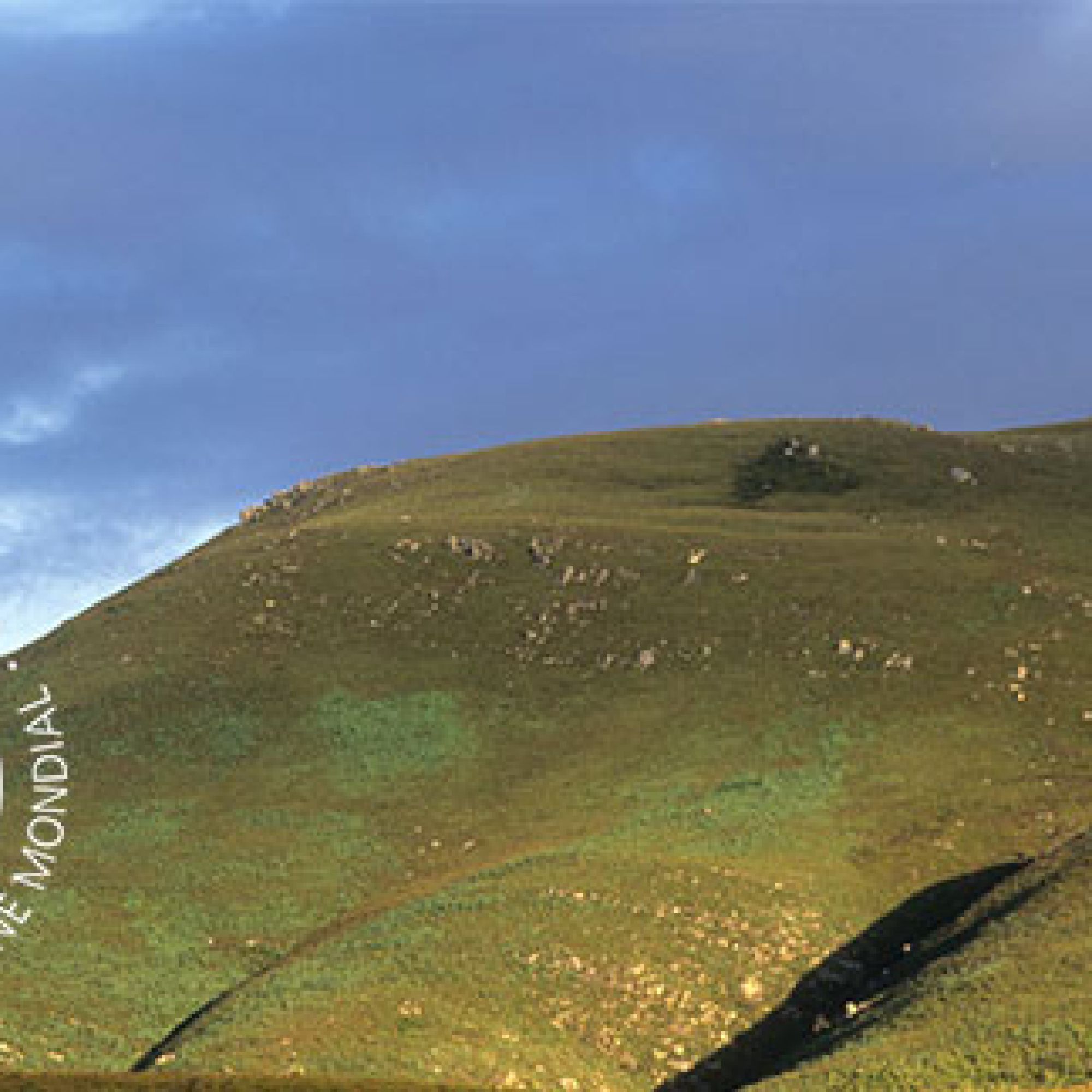 Boosmansbos Wilderness with WHS logo May 2016 3