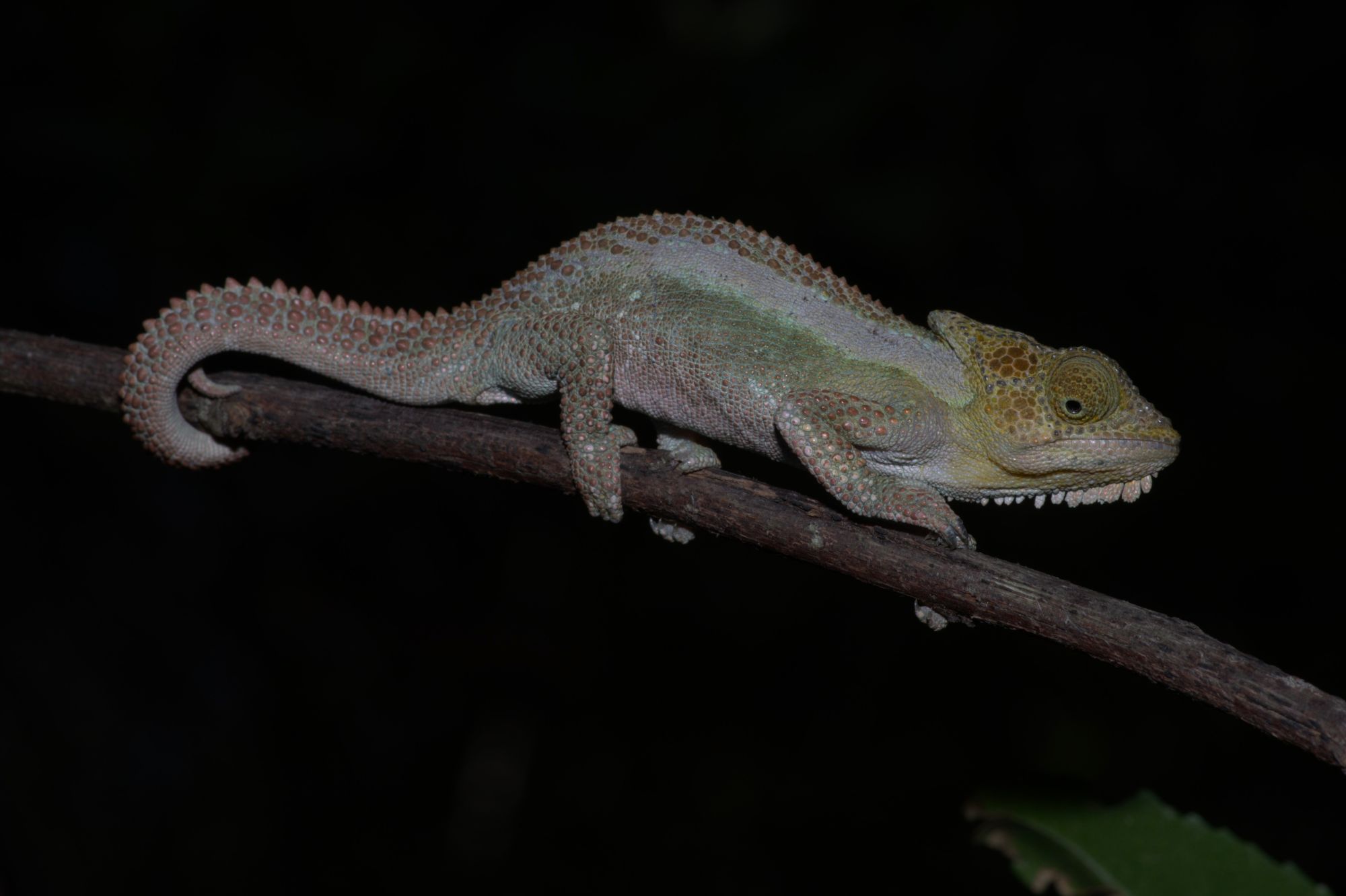 Image related to website content Image related to website content