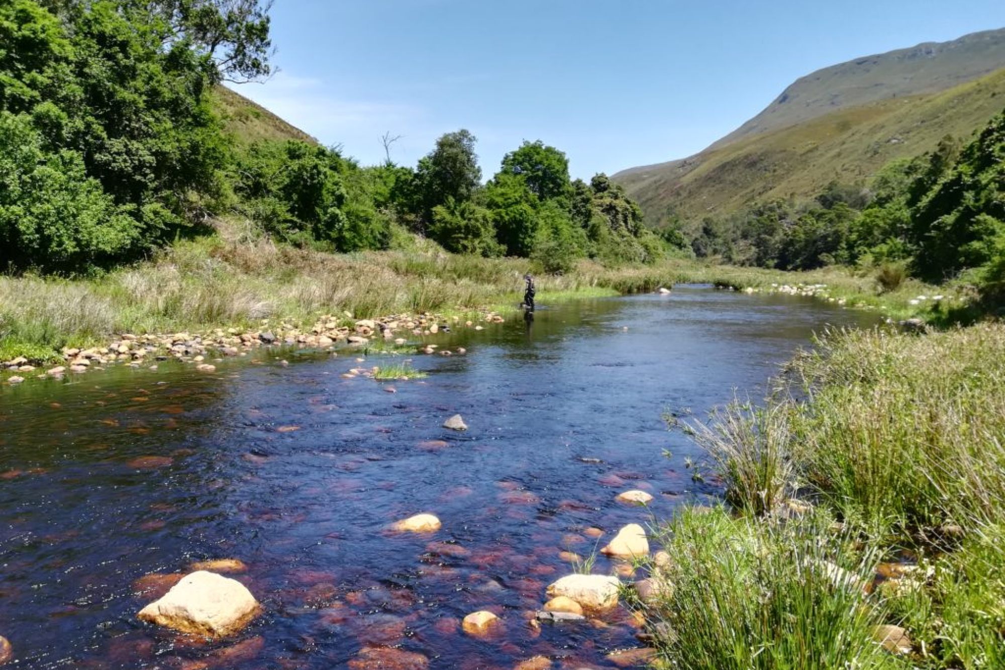 Image related to website content Image related to website content