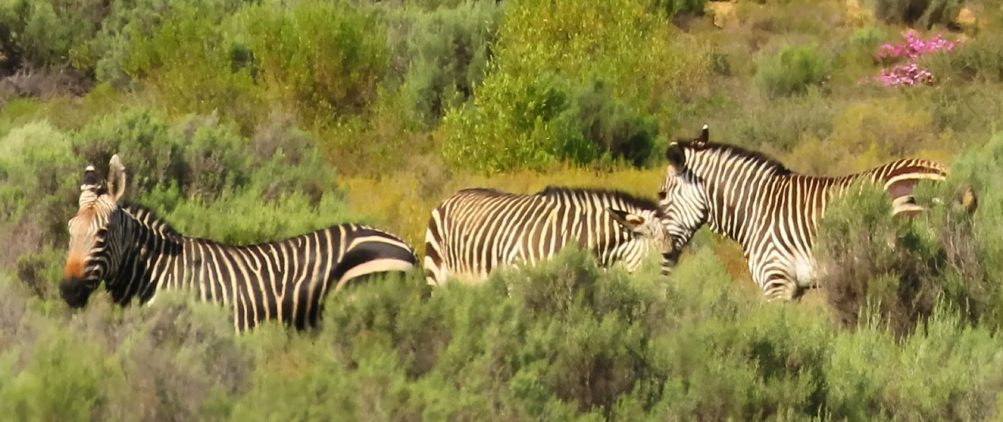 Image related to website content Image related to website content