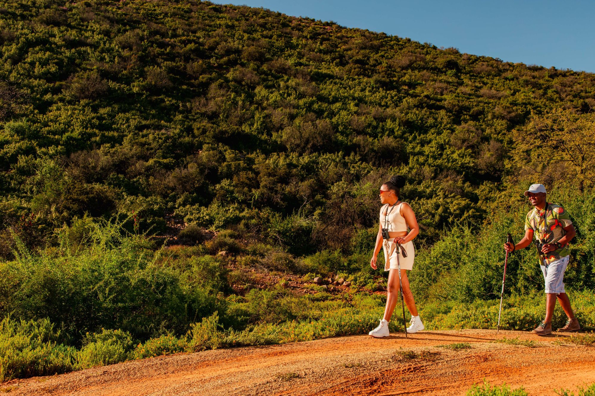 Image related to website content Image related to website content