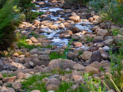 Image related to website content Image related to website content