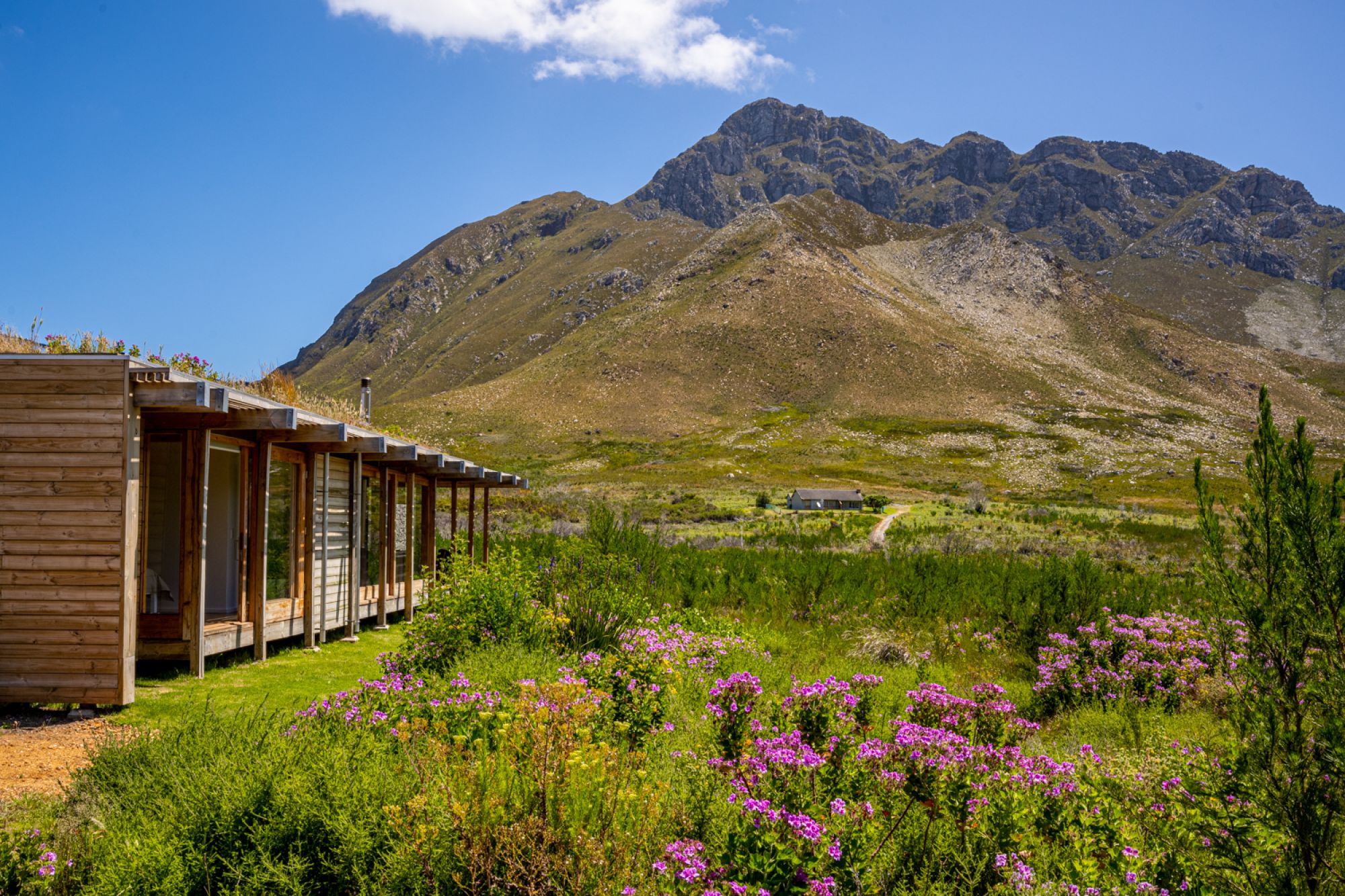 Image related to website content Image related to website content