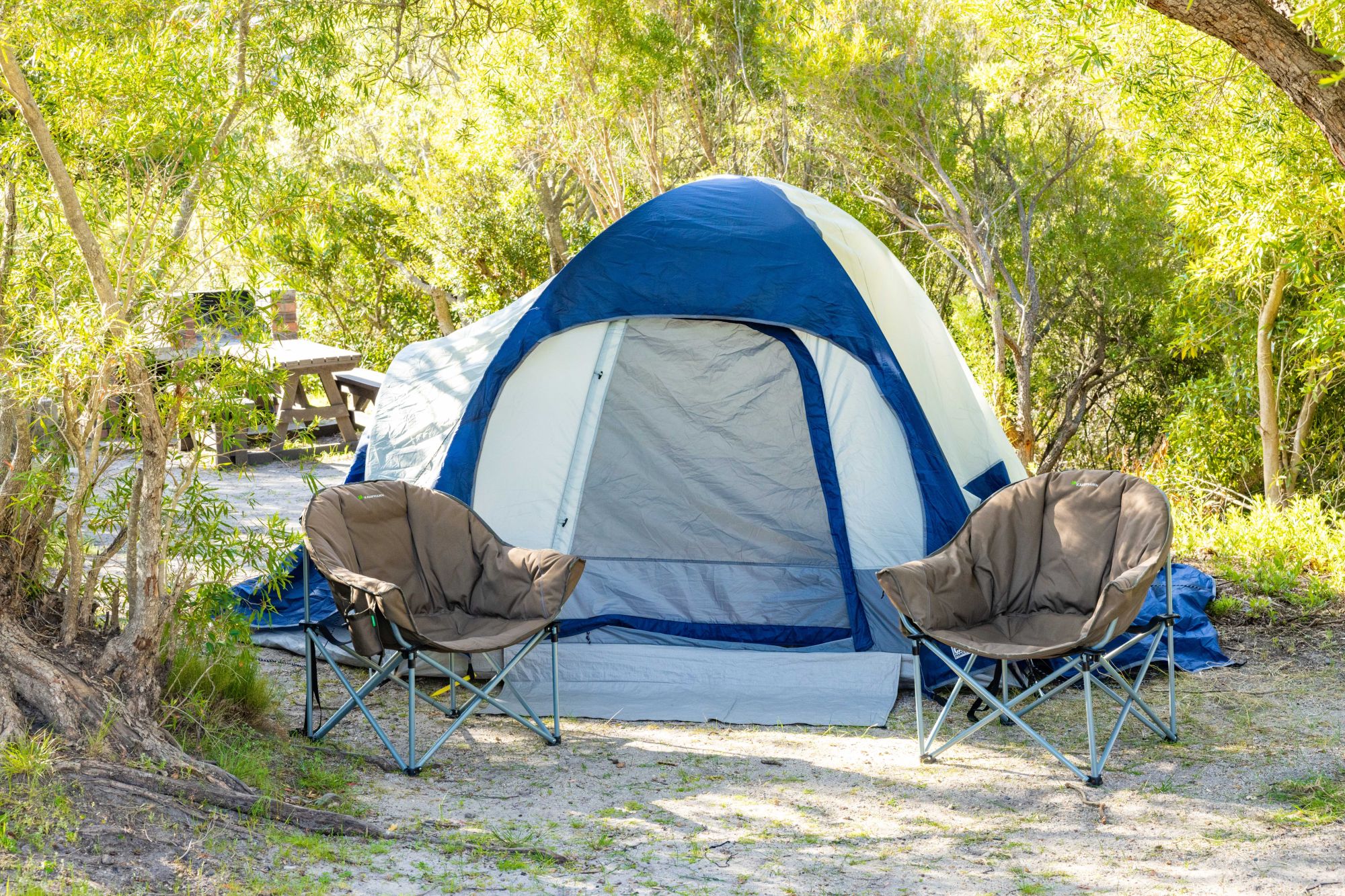 Image related to website content Image related to website content