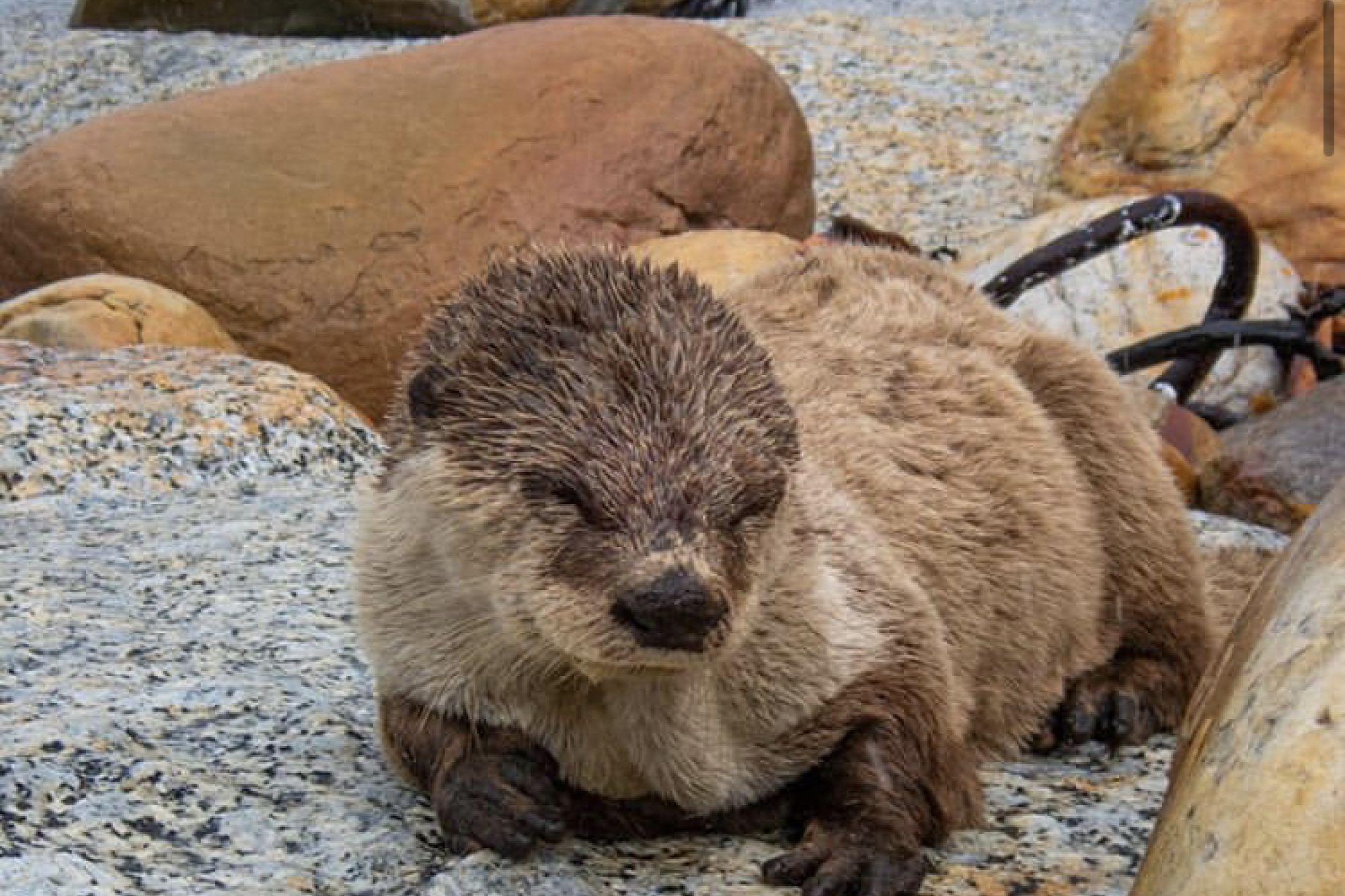 Image related to website content Image related to website content