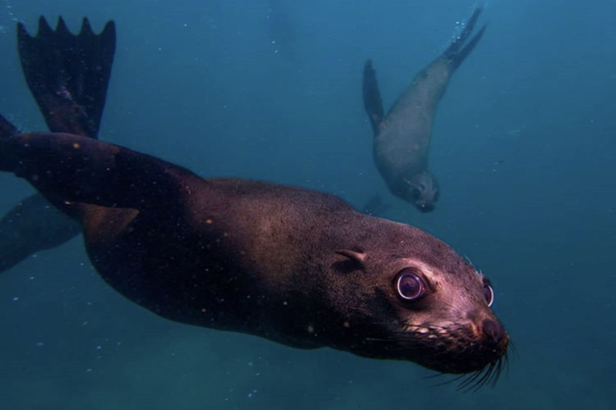 Image related to website content Image related to website content