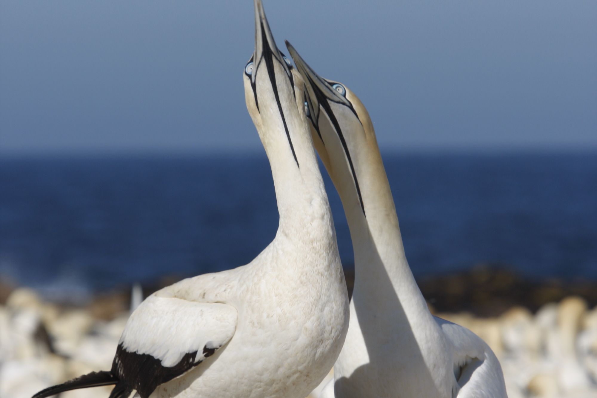 Image related to website content Image related to website content