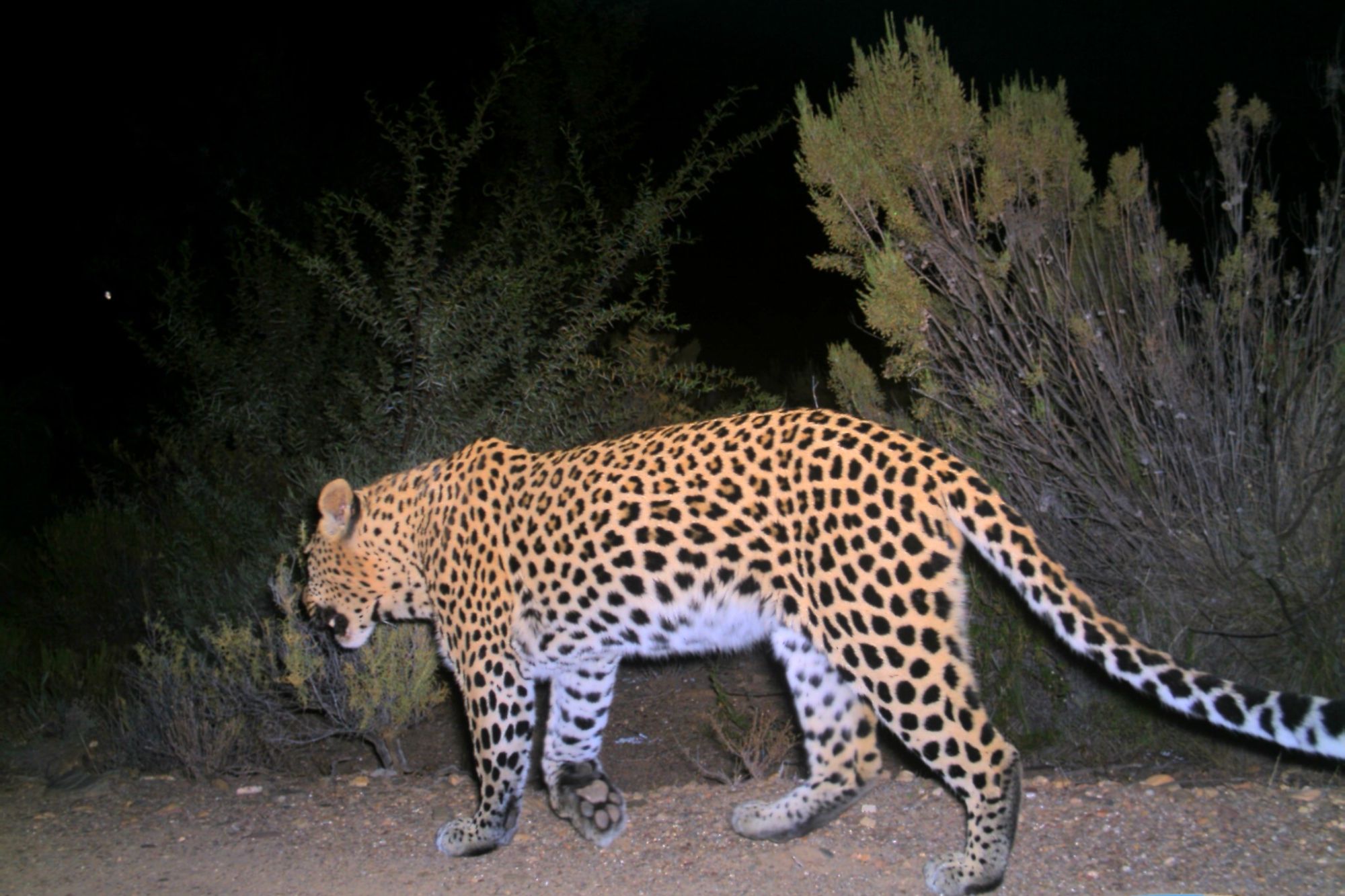 Image related to website content Image related to website content