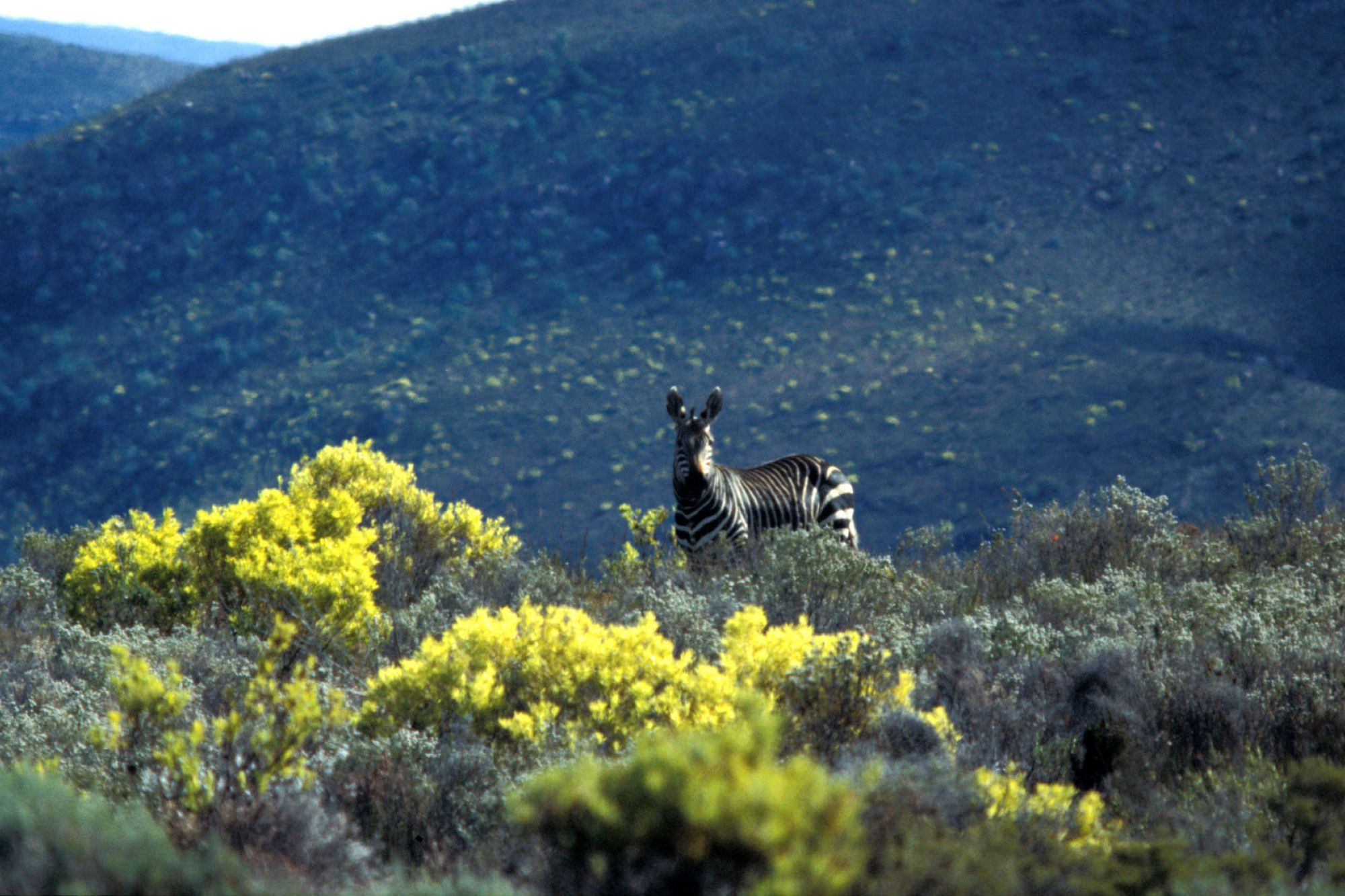 Image related to website content Image related to website content