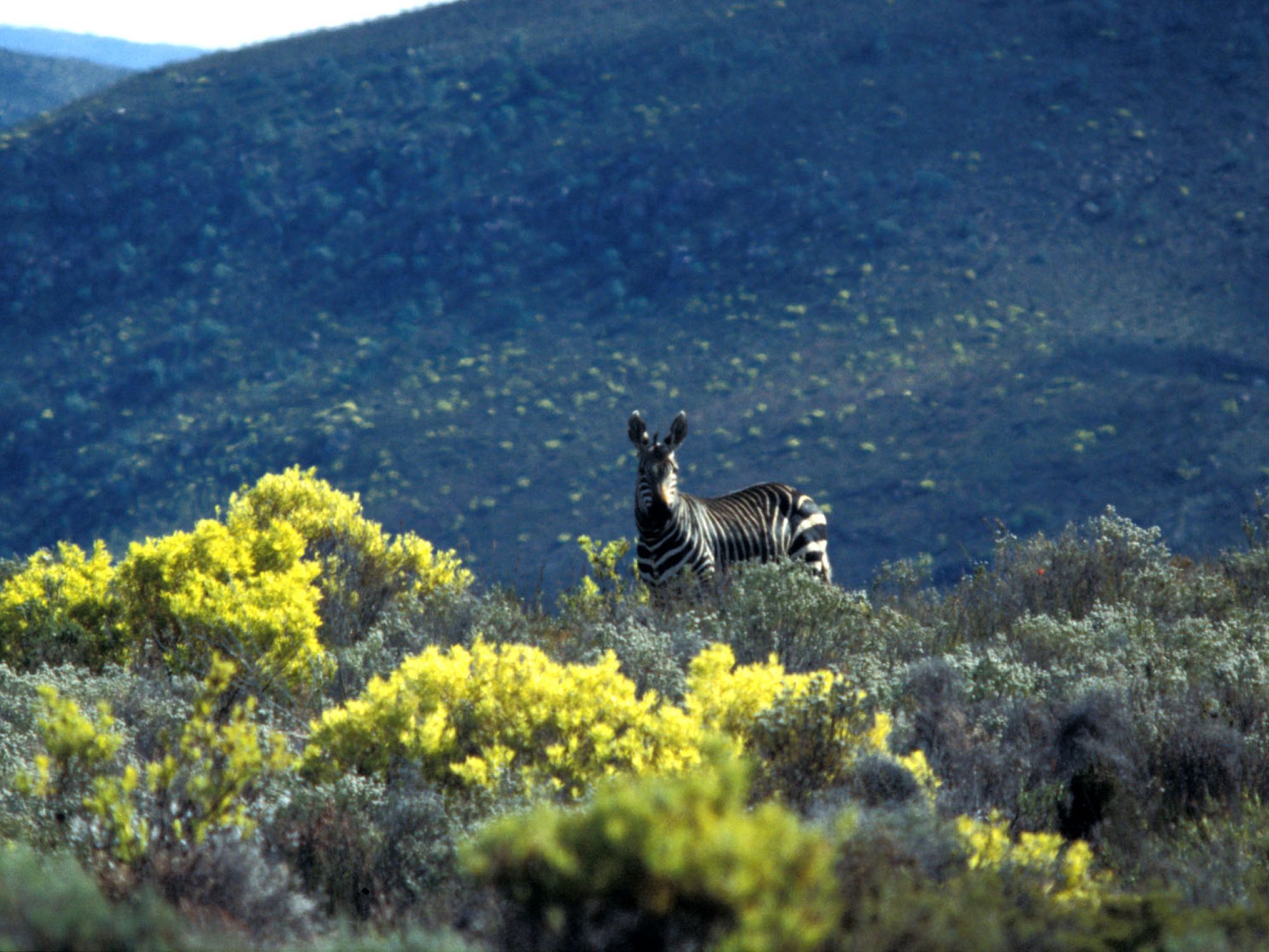 Image related to website content Image related to website content