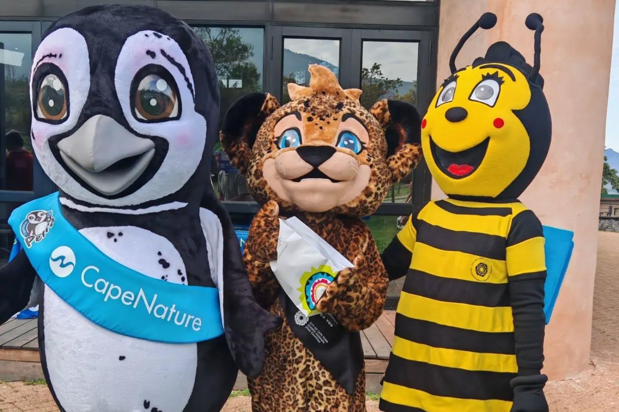 Cape Nature Cubs Club mascot Kai turns 2 Cape Nature Cubs Club mascot Kai turns 2