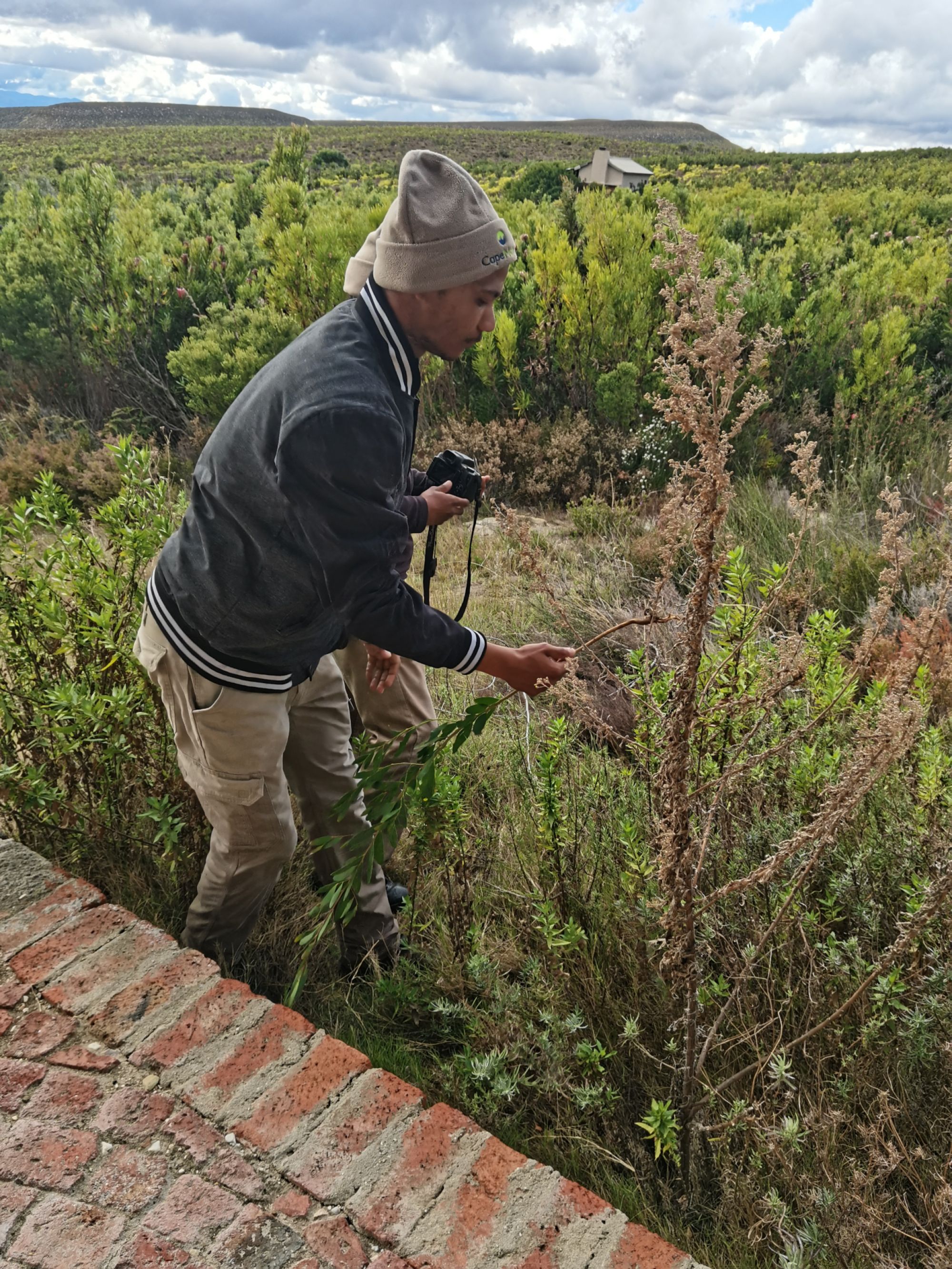 Image related to website content Image related to website content