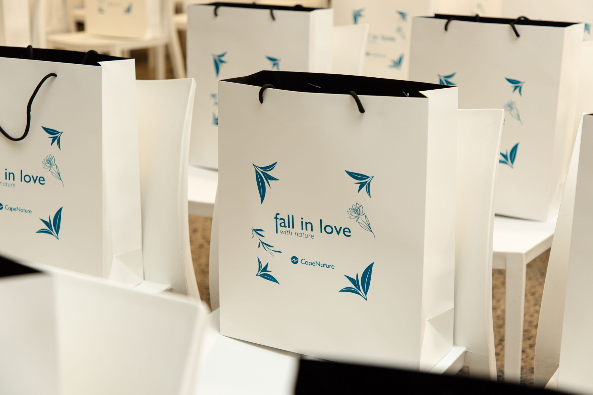 Image related to website content Image related to website content