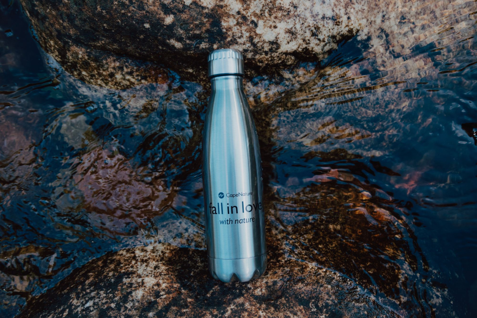 Cape Nature Summer Campaign Blog 3 Image Cape Nature Summer Campaign Blog 3 Image