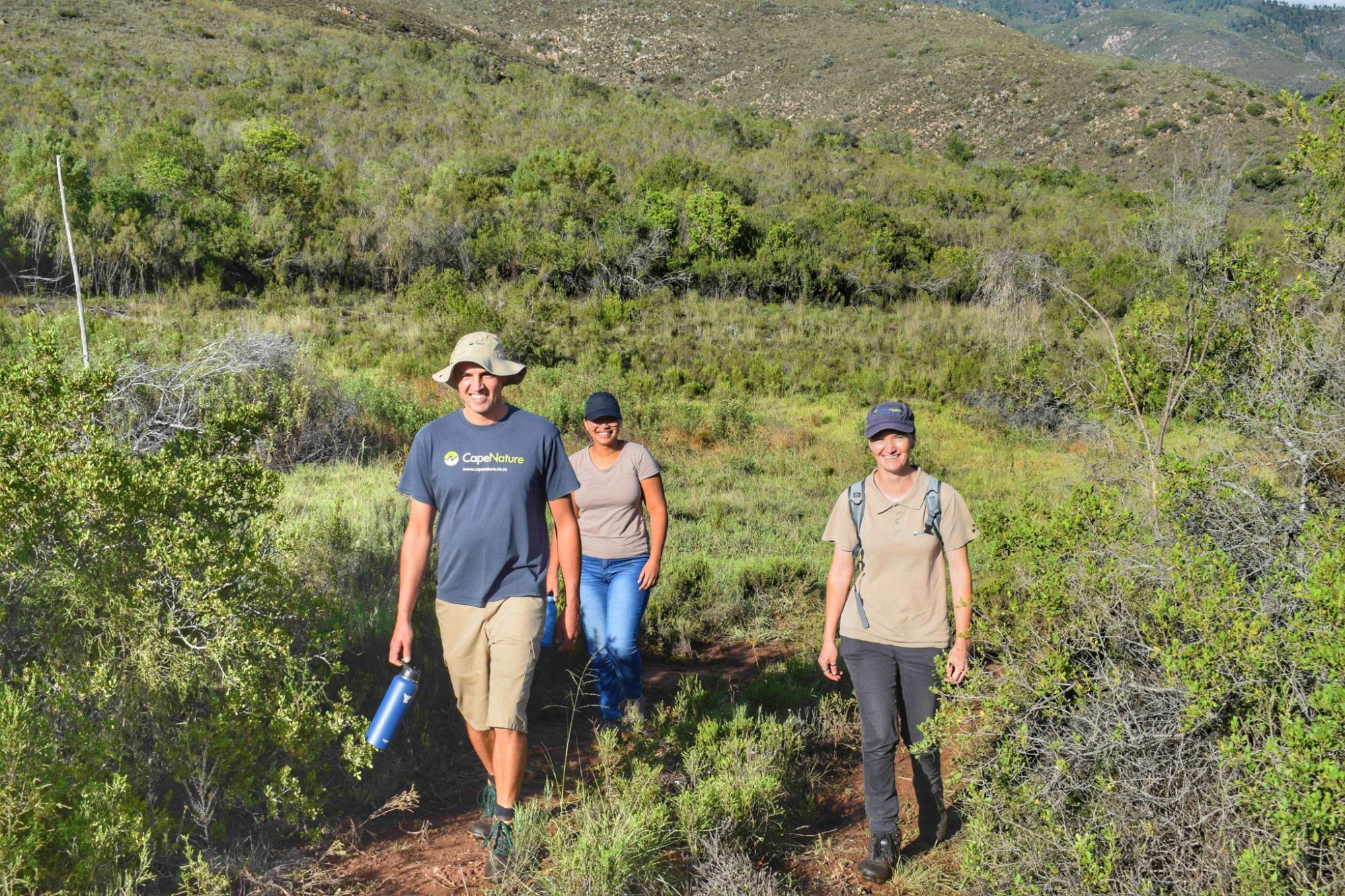 Image related to website content Image related to website content