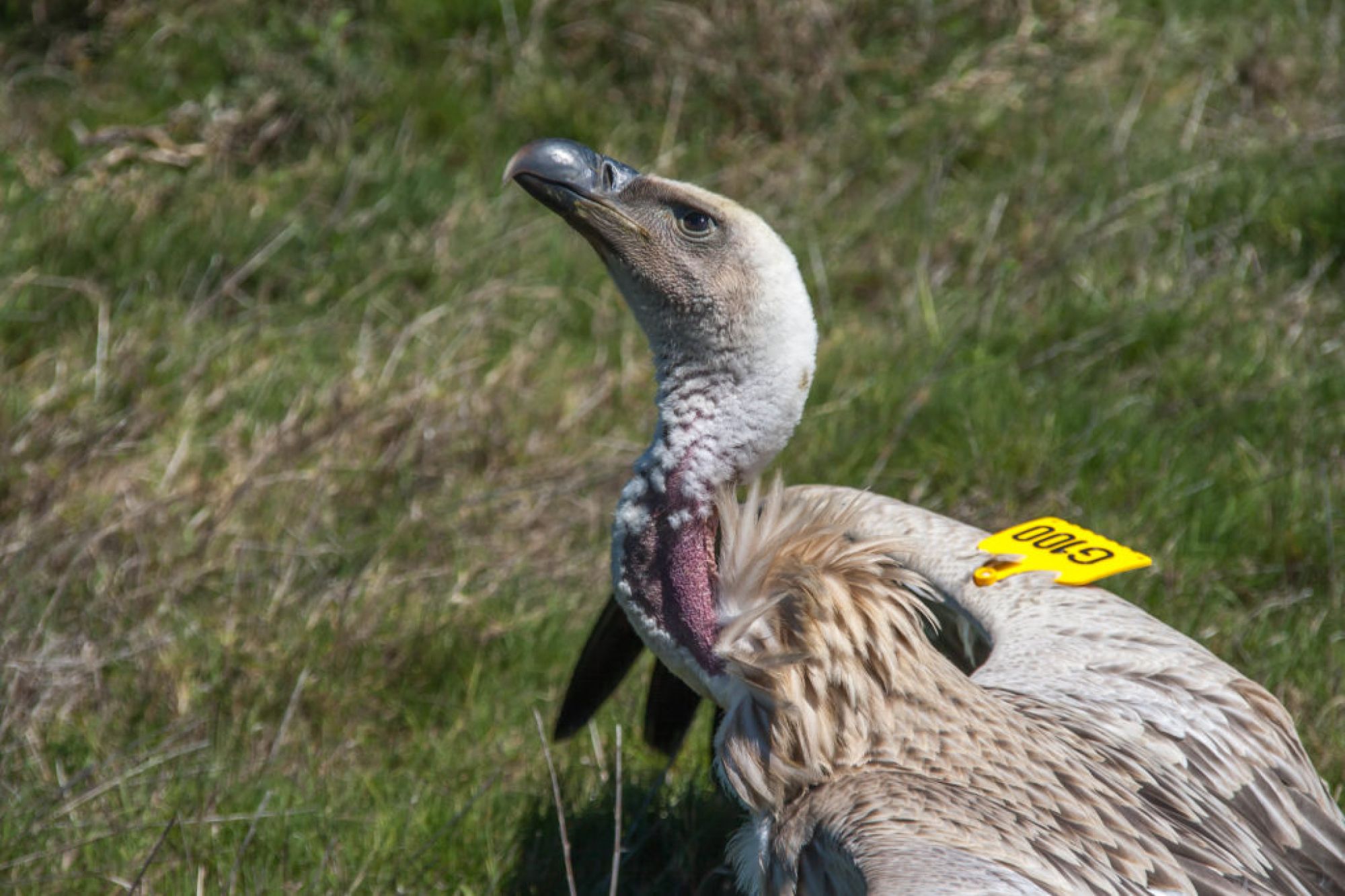 Image related to website content Image related to website content