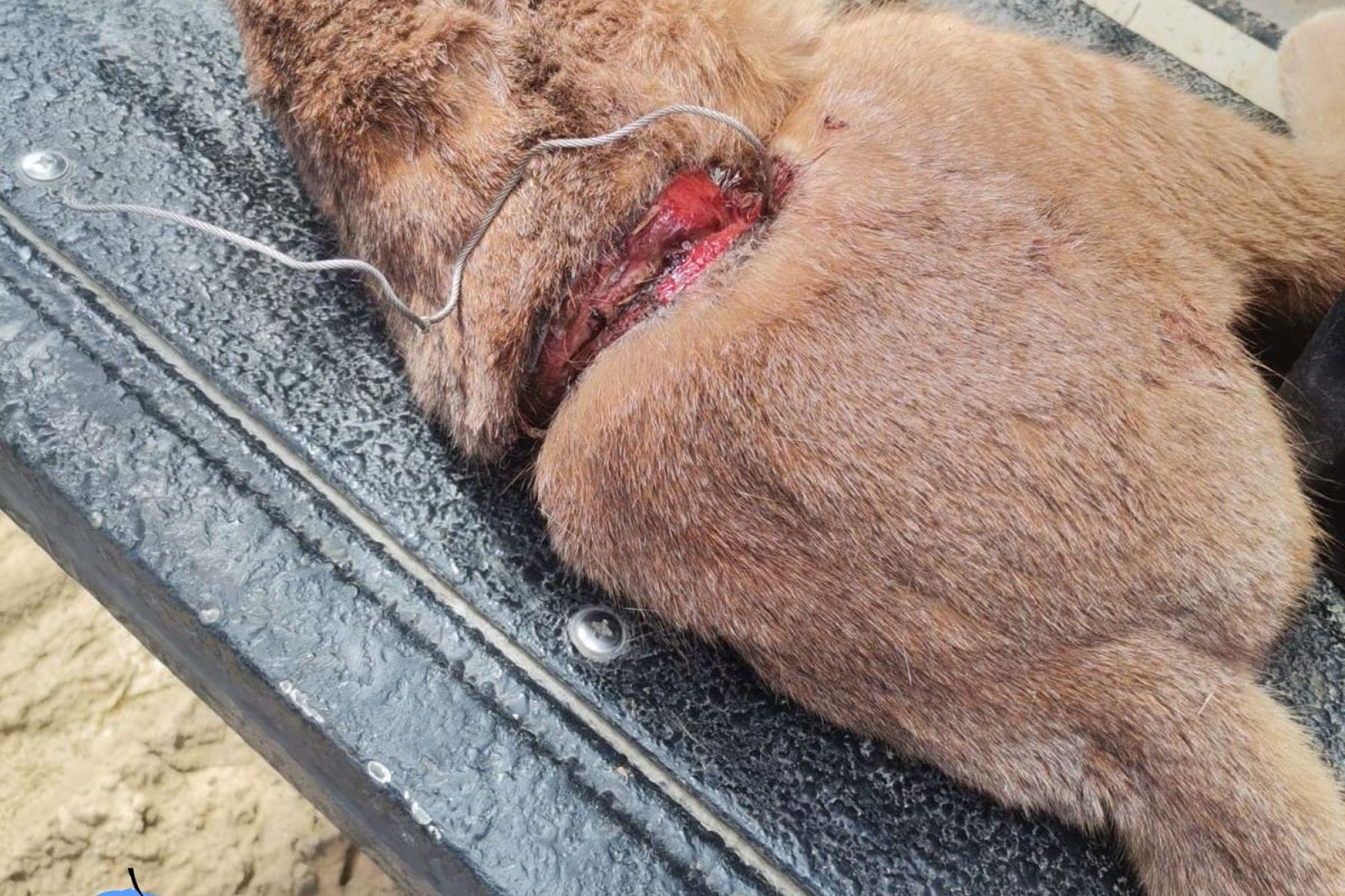 Image related to website content Image related to website content