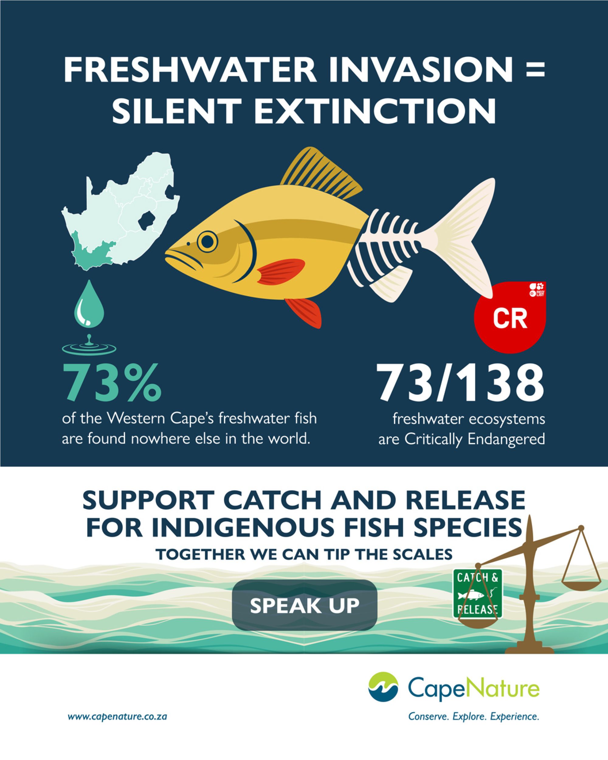 Image related to website content Image related to website content