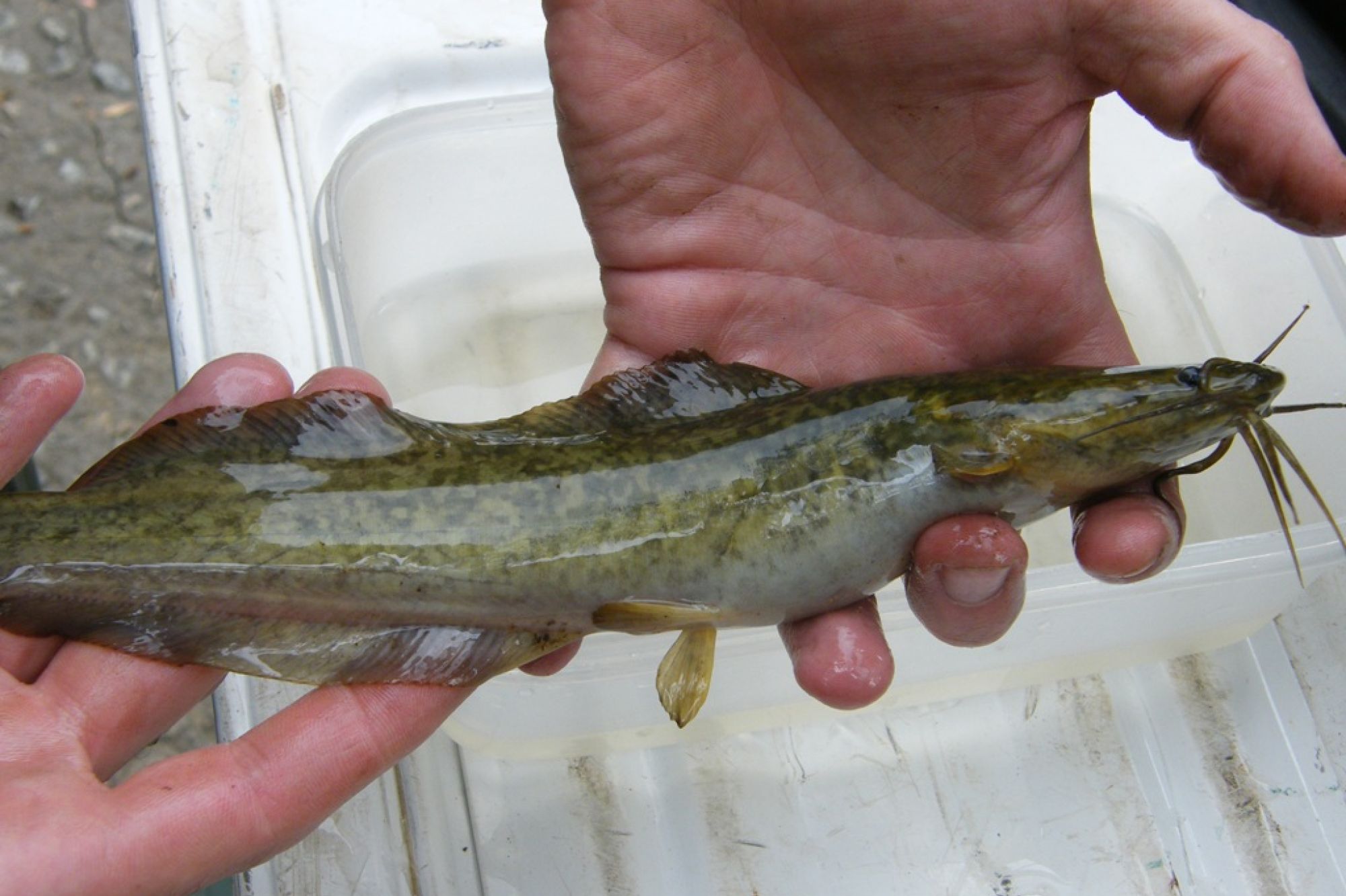 Image related to website content Image related to website content