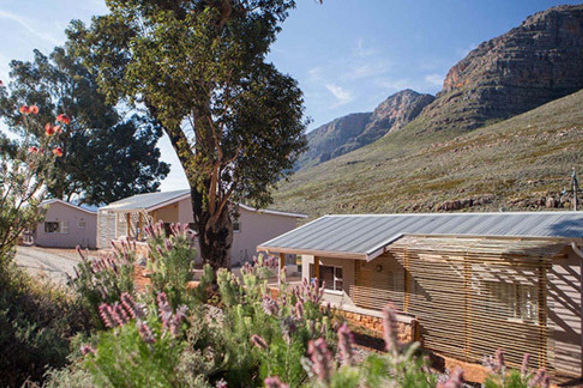 Image related to website content Image related to website content