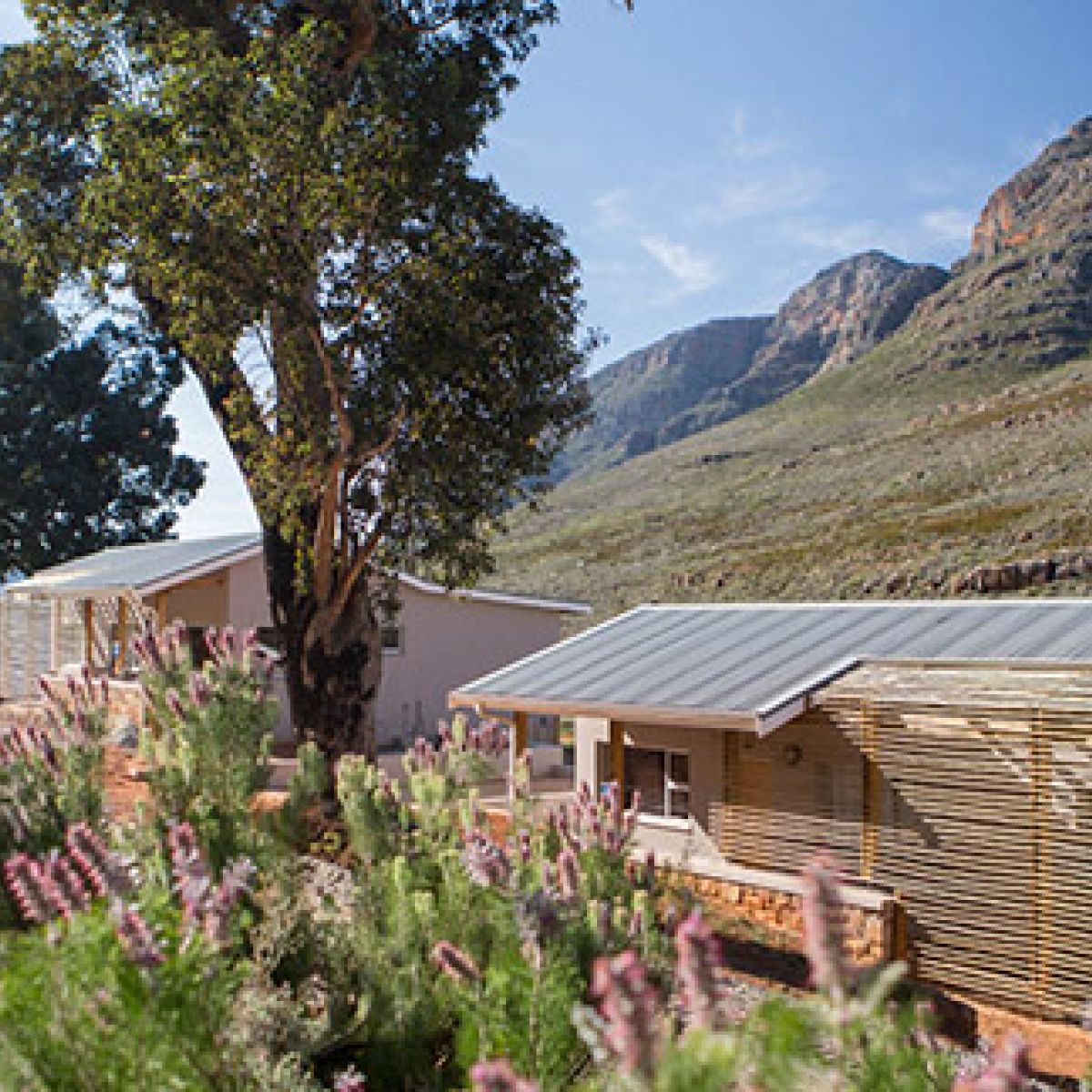 Cederberg Algeria new cottages 1 Cederberg Algeria new cottages 1