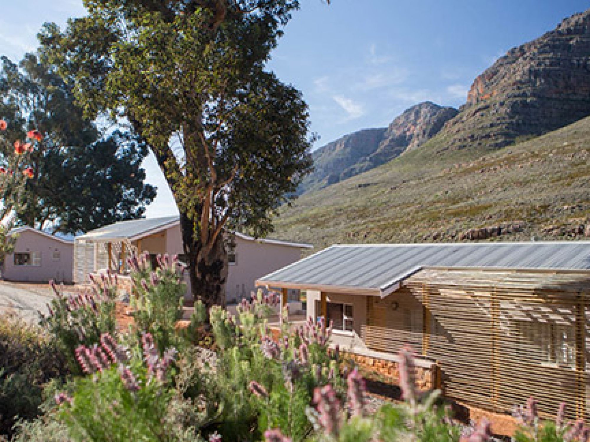 Cederberg Algeria new cottages 1 Cederberg Algeria new cottages 1