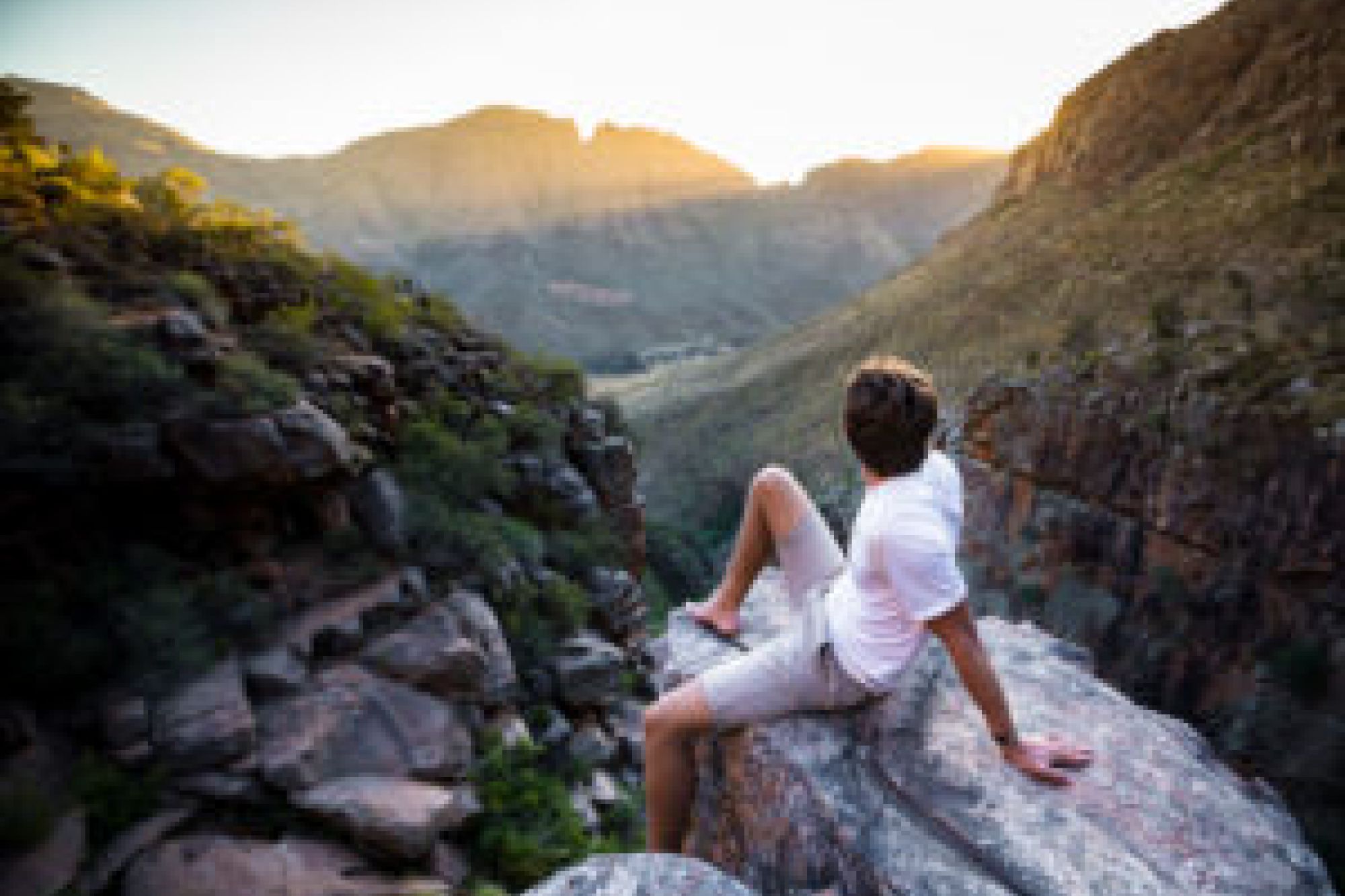 Image related to website content Image related to website content