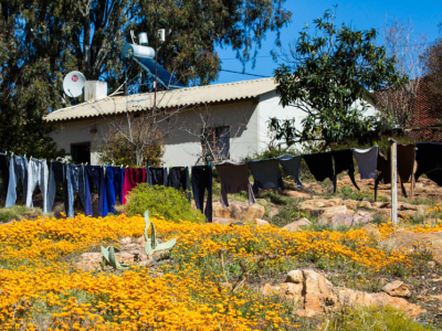 Image related to website content Image related to website content