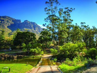 Image related to website content Image related to website content