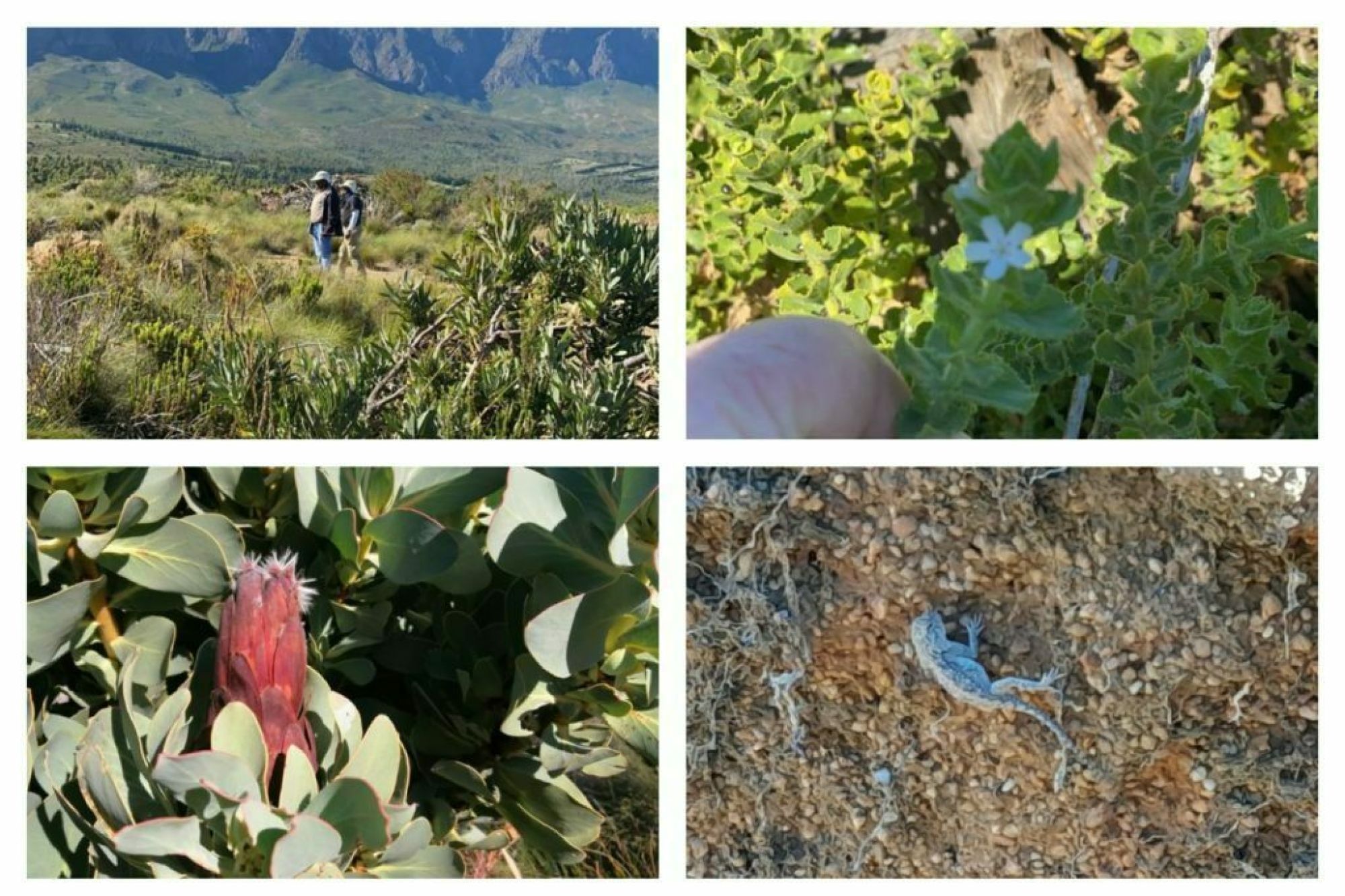 Image related to website content Image related to website content