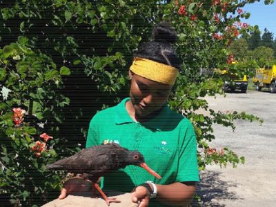 Image related to website content Image related to website content