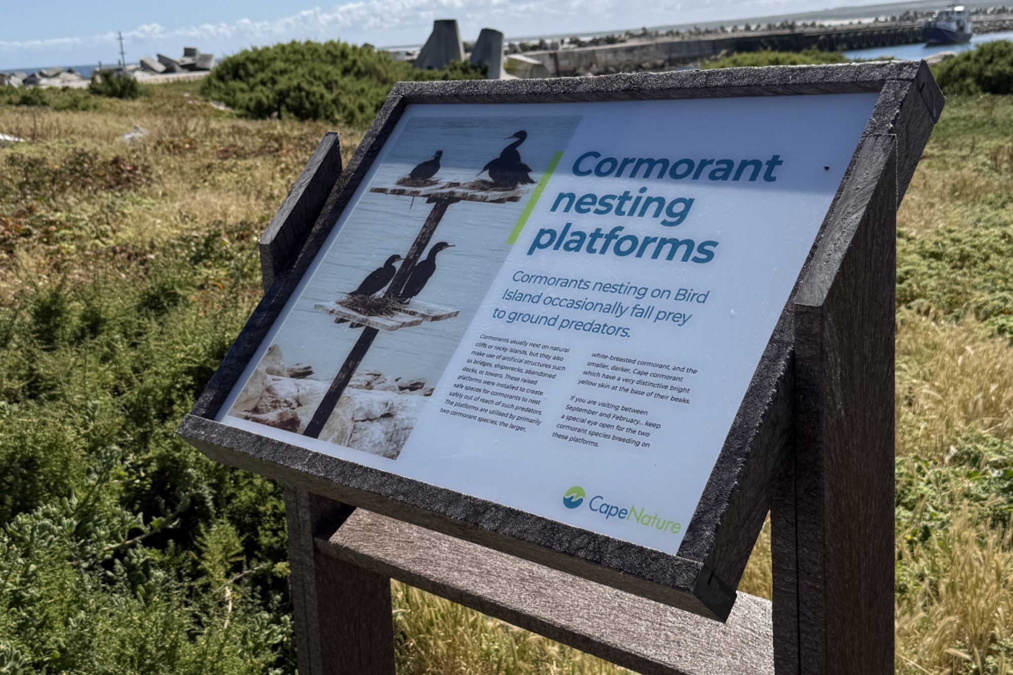 Image related to website content Image related to website content