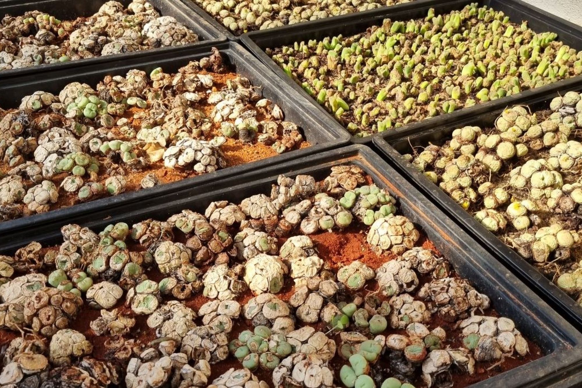 Image related to website content Image related to website content