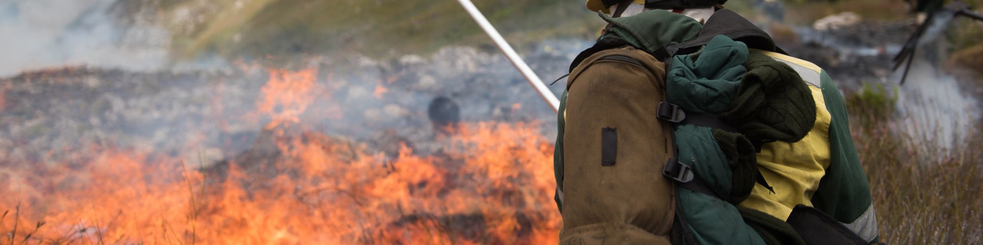 Copy of Fire DCM 0372 Justin Sullivan Copy of Fire DCM 0372 Justin Sullivan