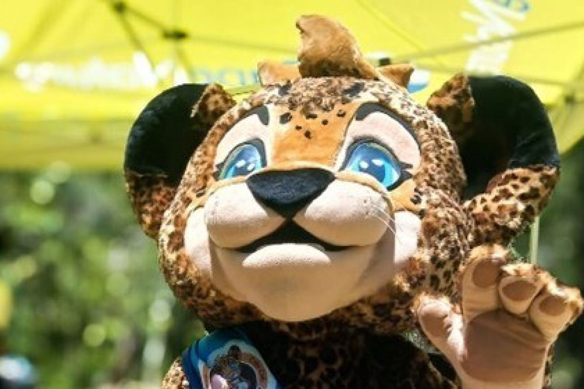 Cubs Club Connect 1 Cubs Club Connect 1