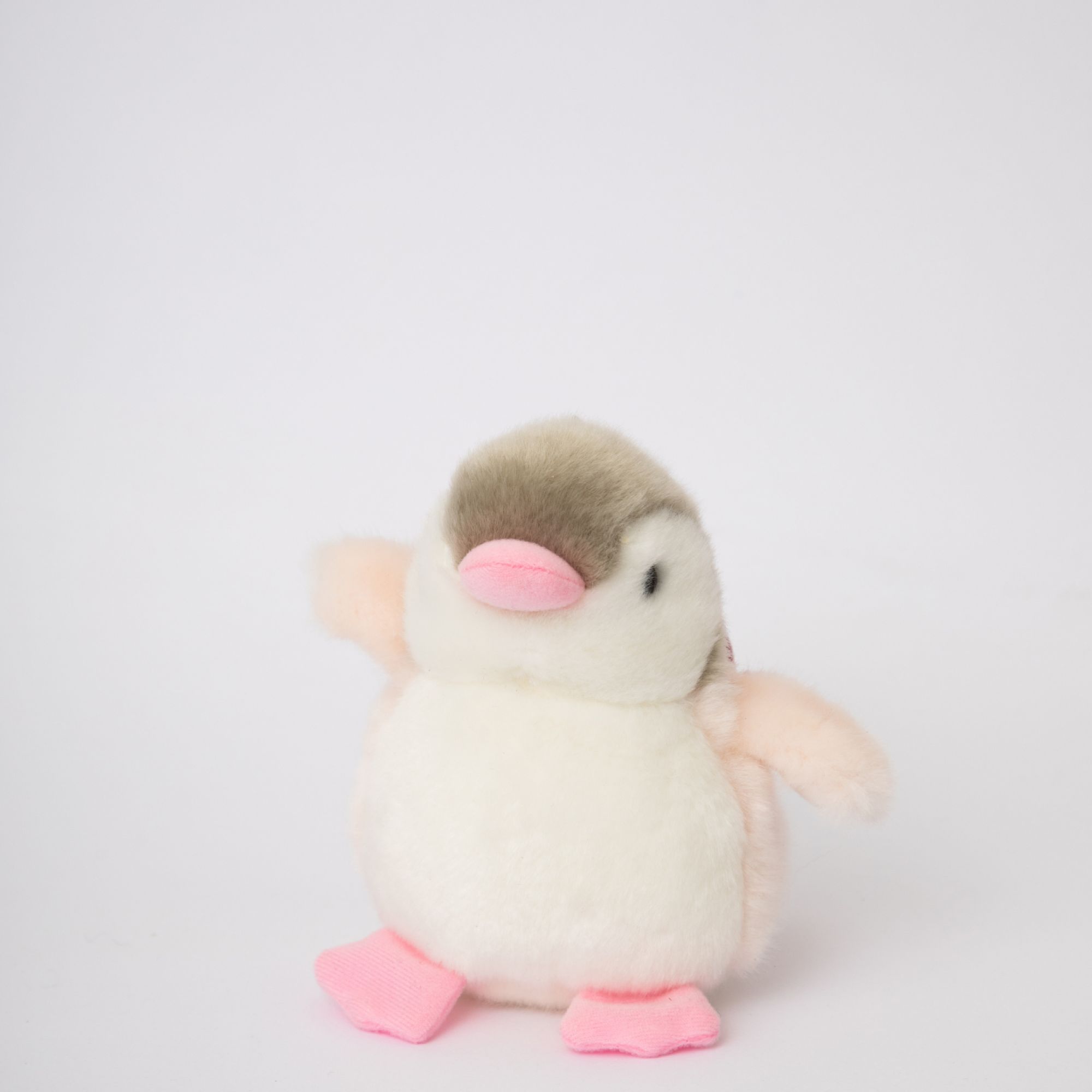 Penguin Bird Island Black White and Pink Small