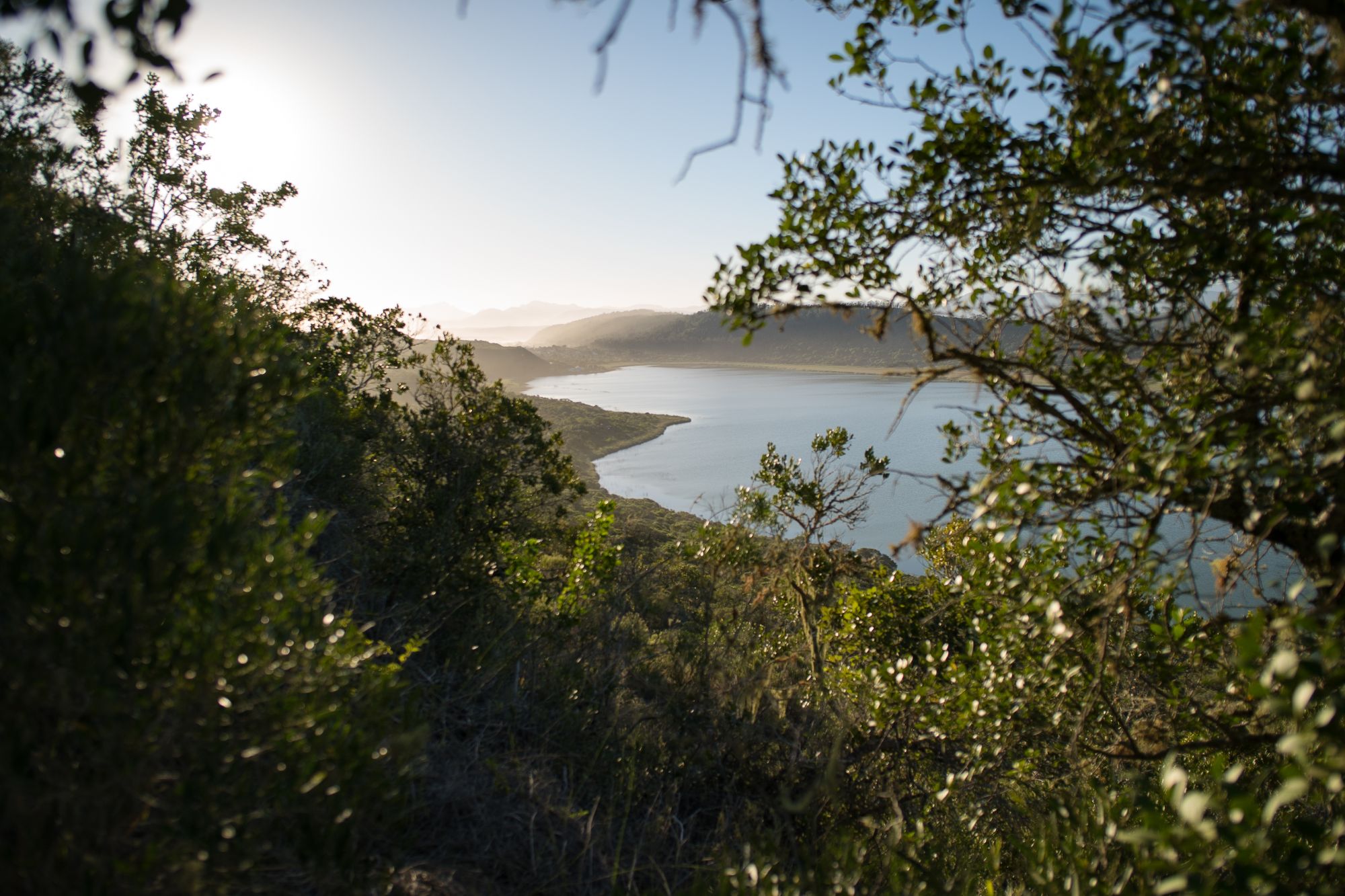 Image related to website content Image related to website content