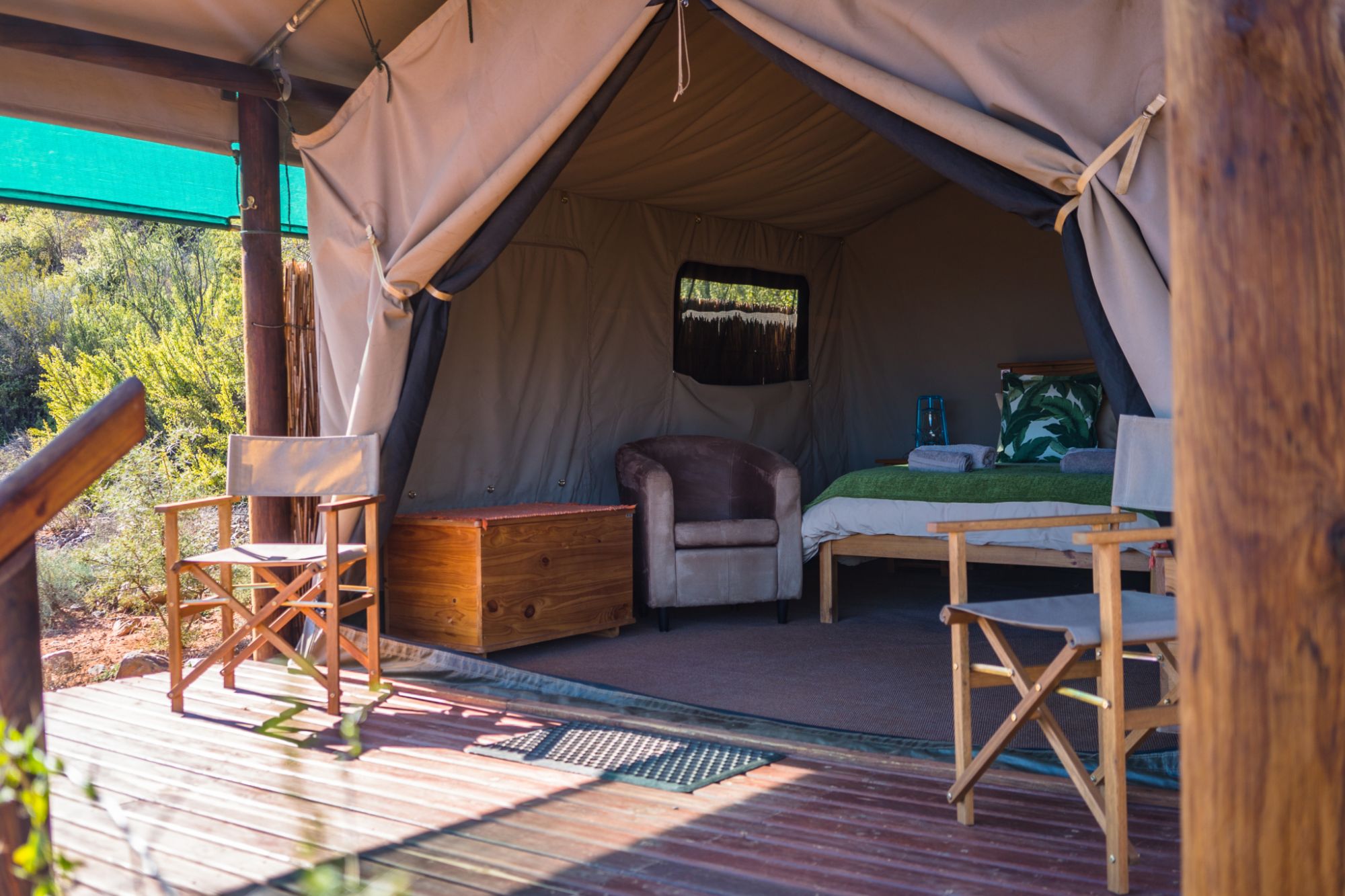 Image related to website content Image related to website content