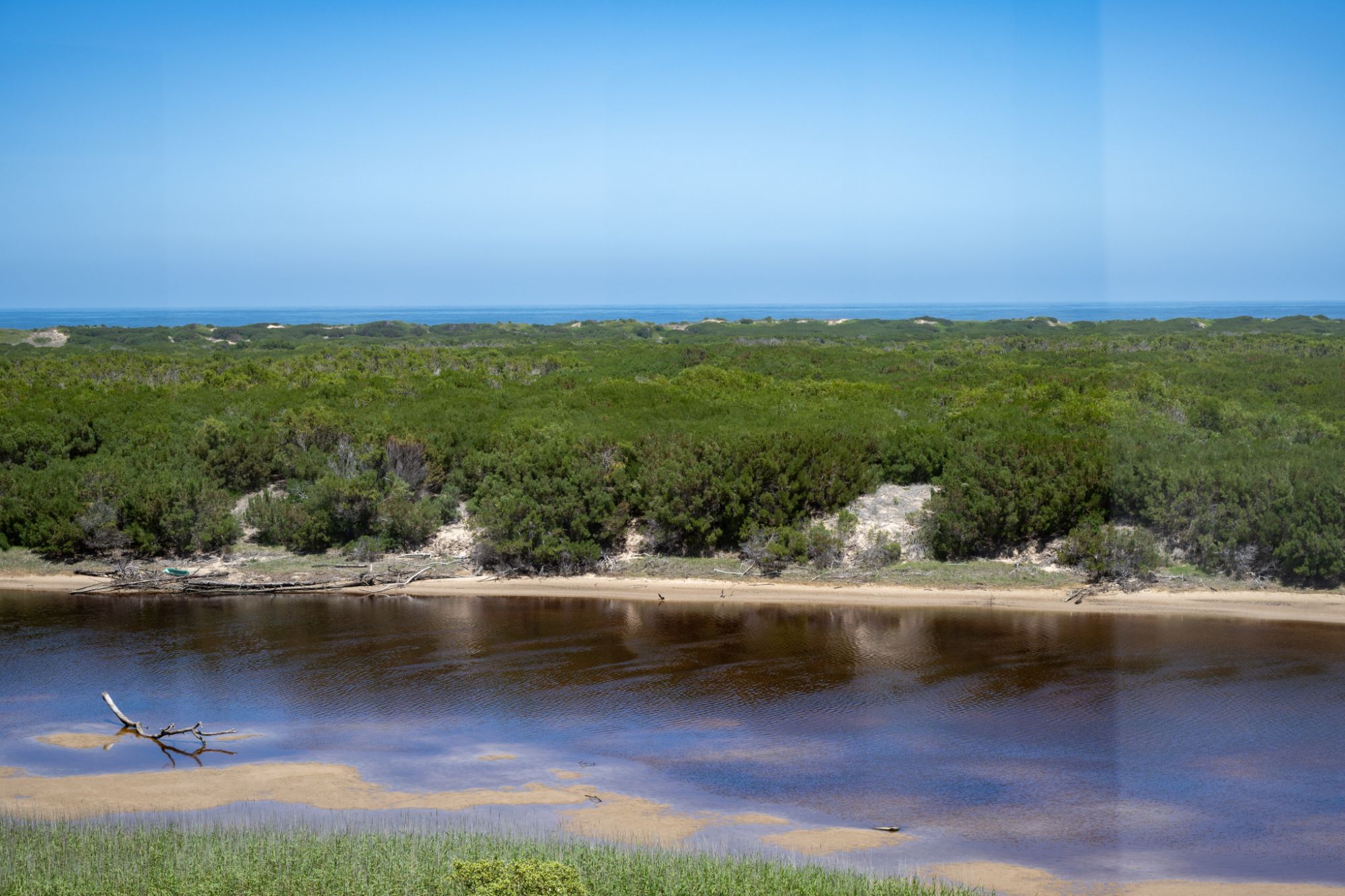 Image related to website content Image related to website content