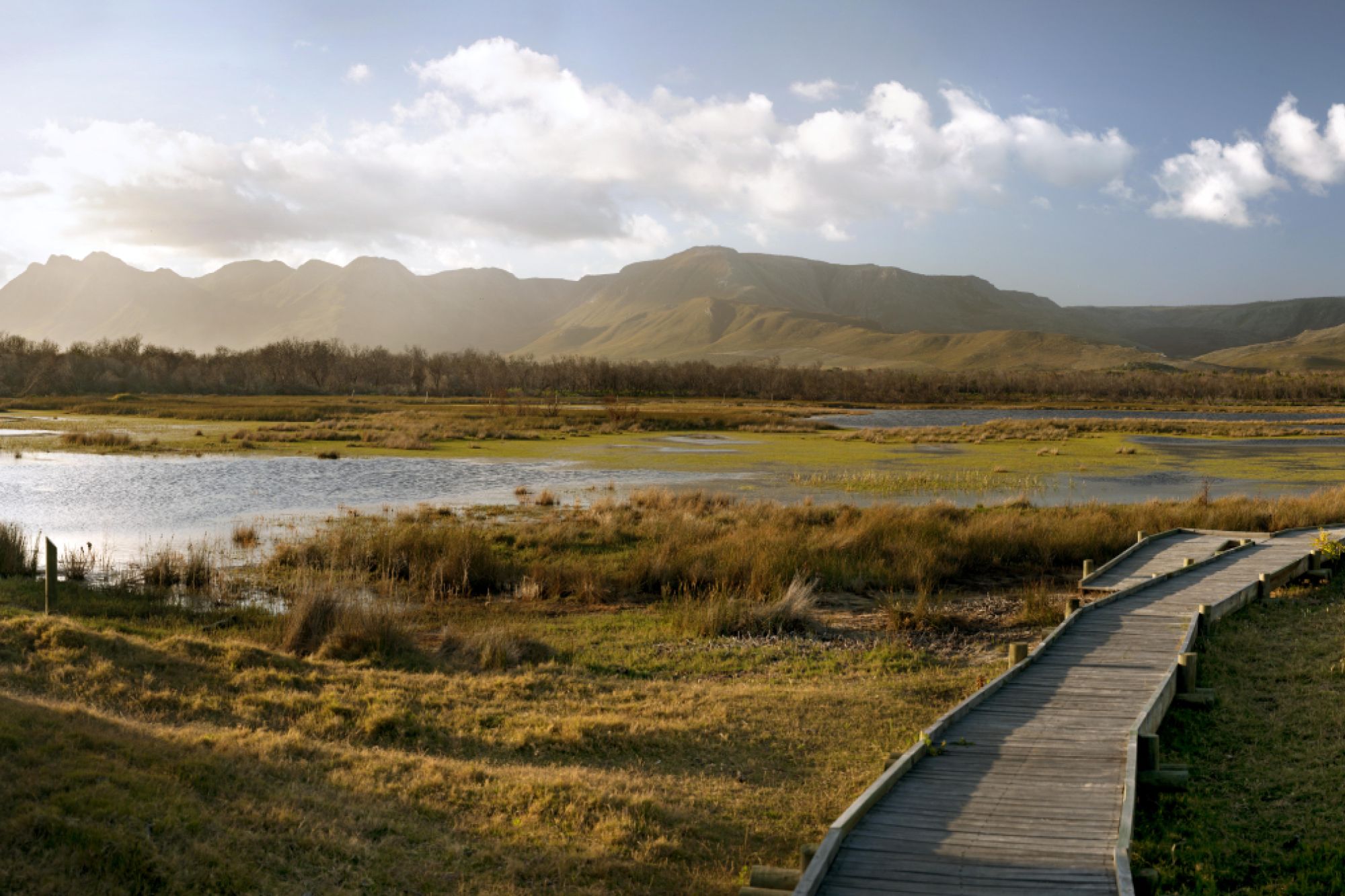 Image related to website content Image related to website content