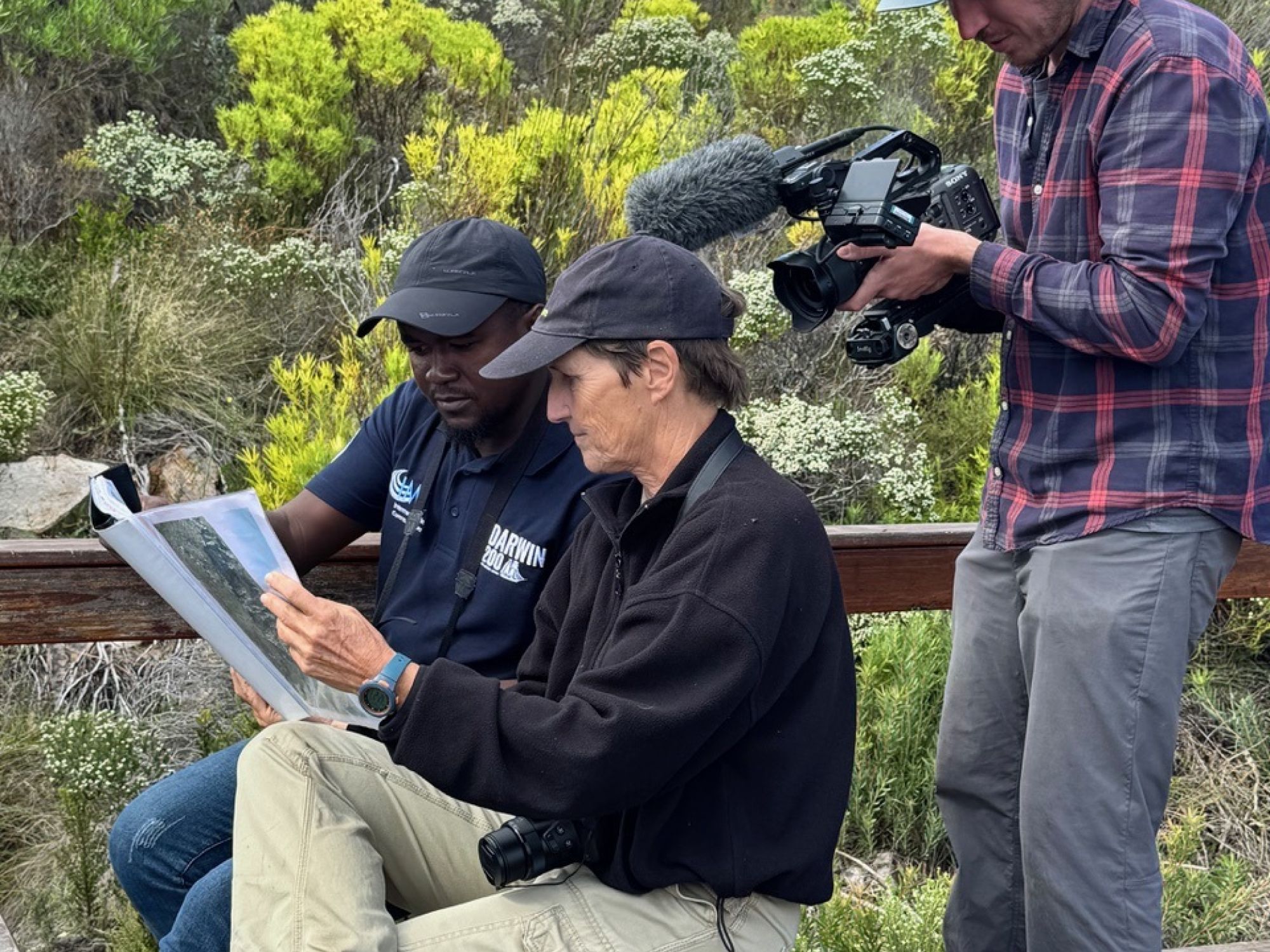 Image related to website content Image related to website content